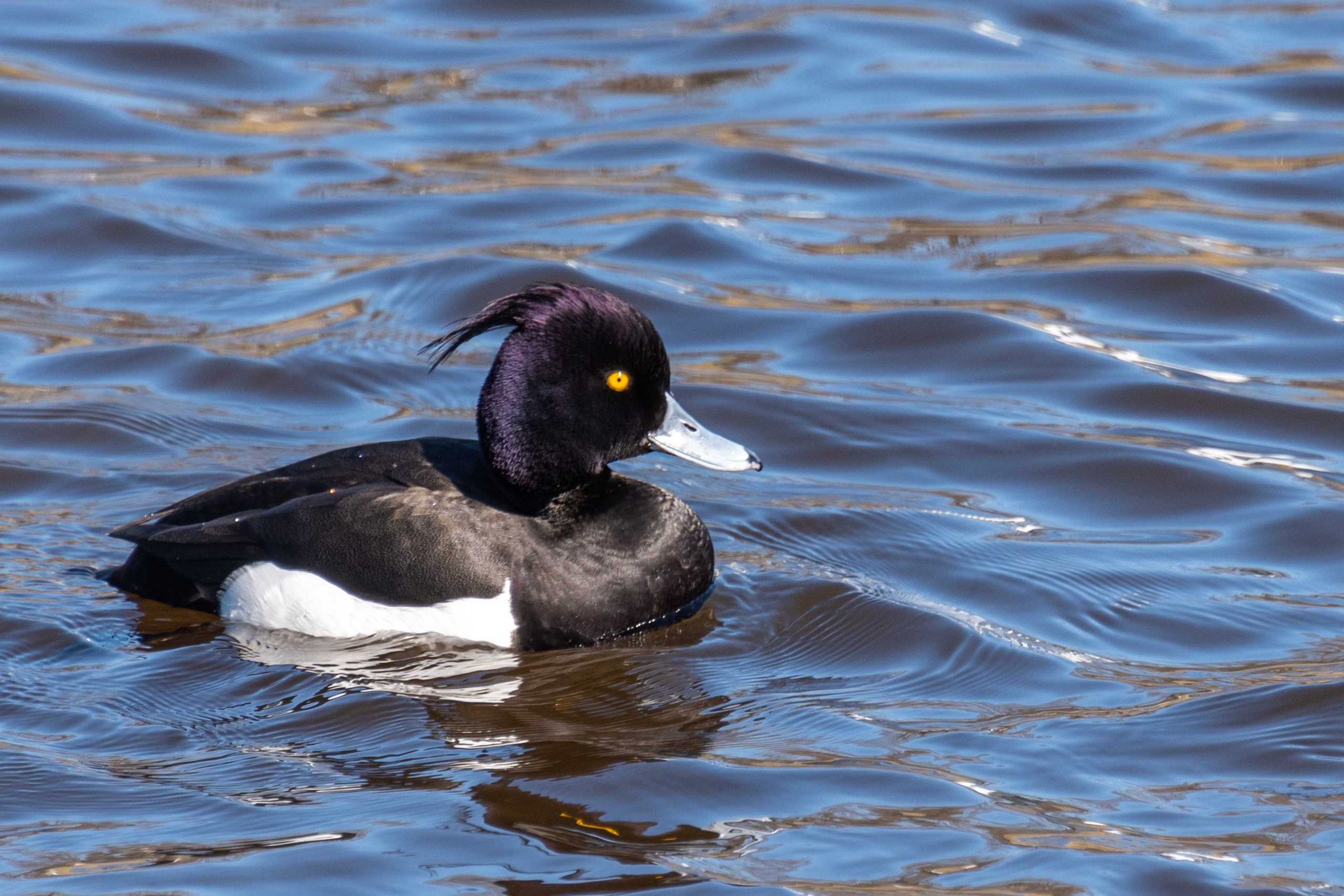 20220411-16 Санкт-Петербург. Дмитрий Ремизов. Фотография, как хобби