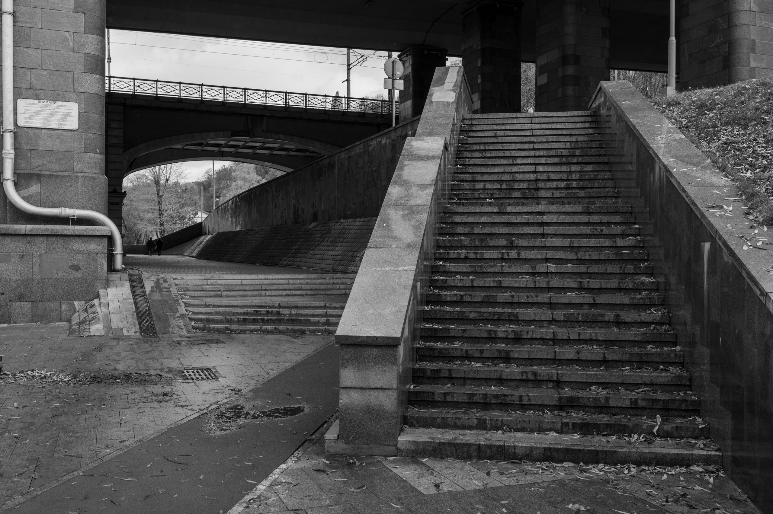 20231031 Нескучный сад. Дмитрий Ремизов. Фотография, как хобби