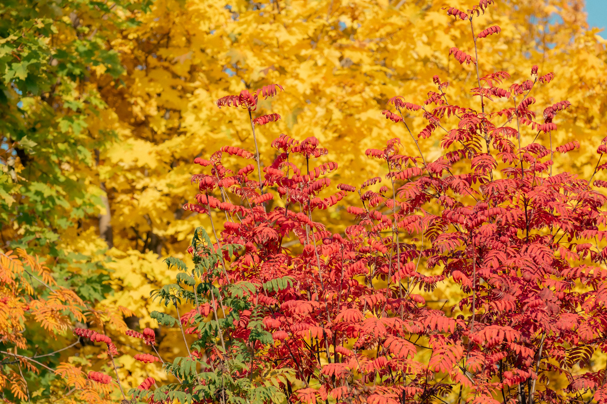 20211003 Поклонка. Дмитрий Ремизов. Фотография, как хобби