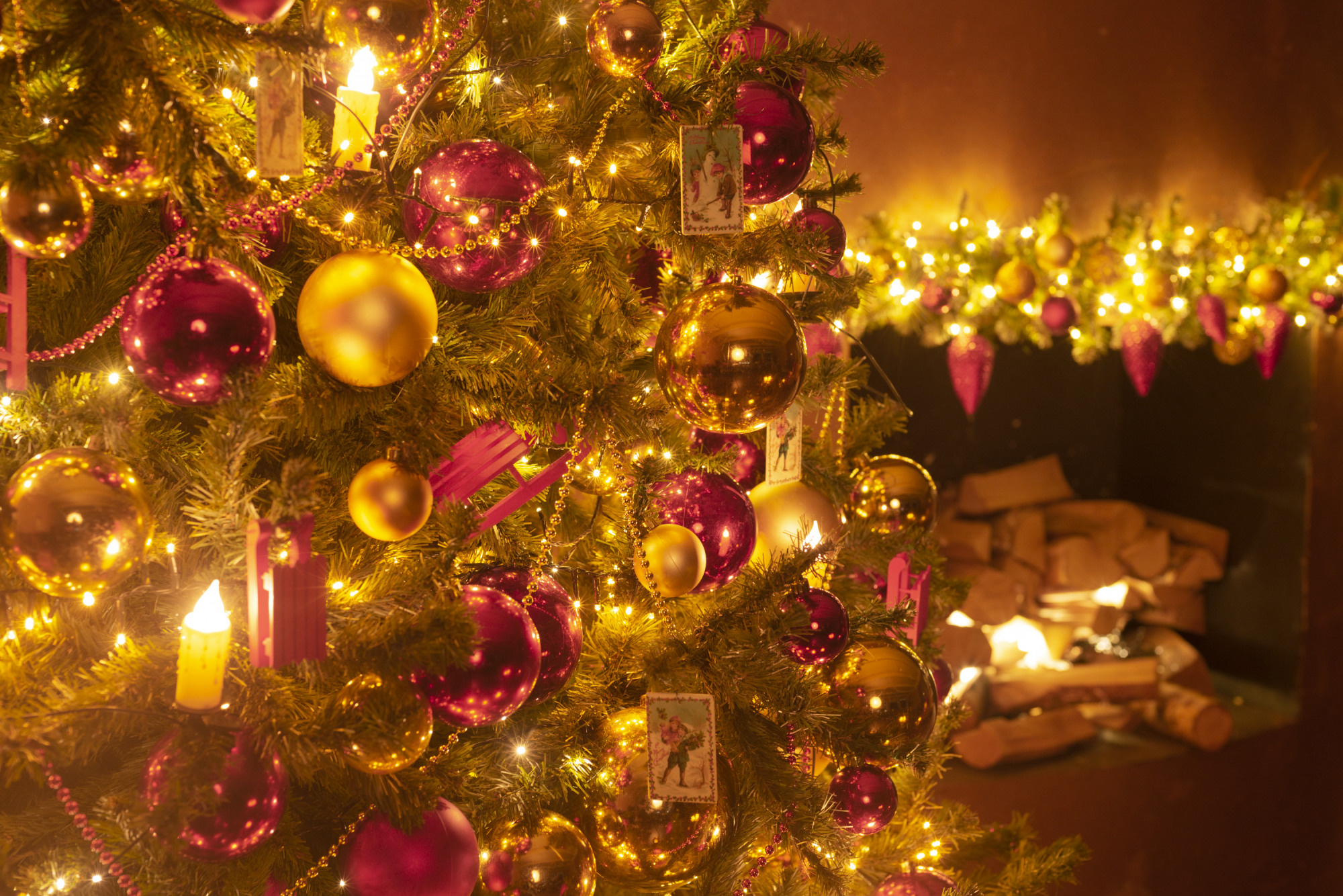 Новогодние фотодни. Фотограф Наталия Федосова, г. Москва. TG и Instagram @nataliya_raw