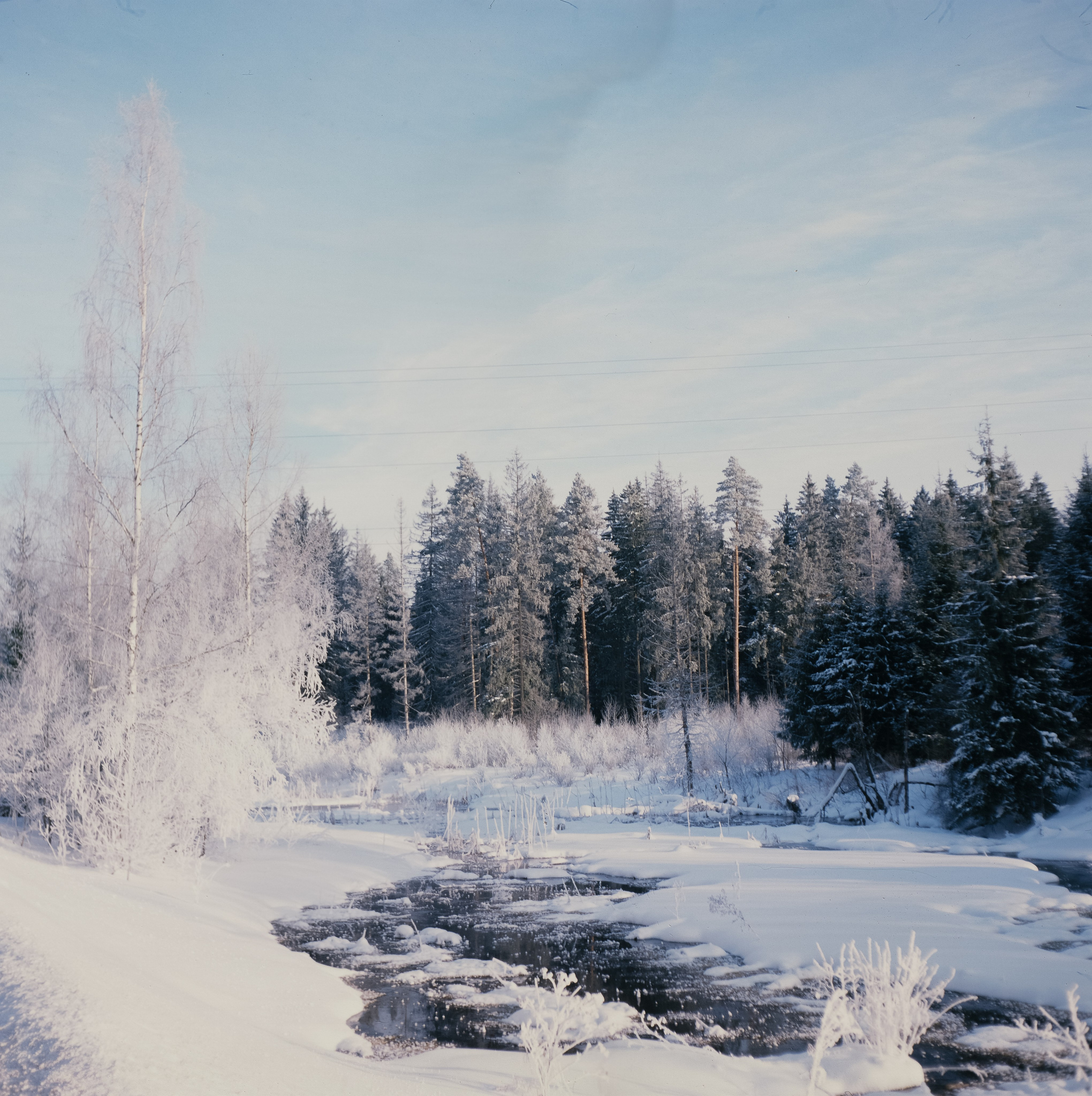 Welta Weltax — Fujichrome ASTIA 100 (at ISO 50) — Лукино морозное утро