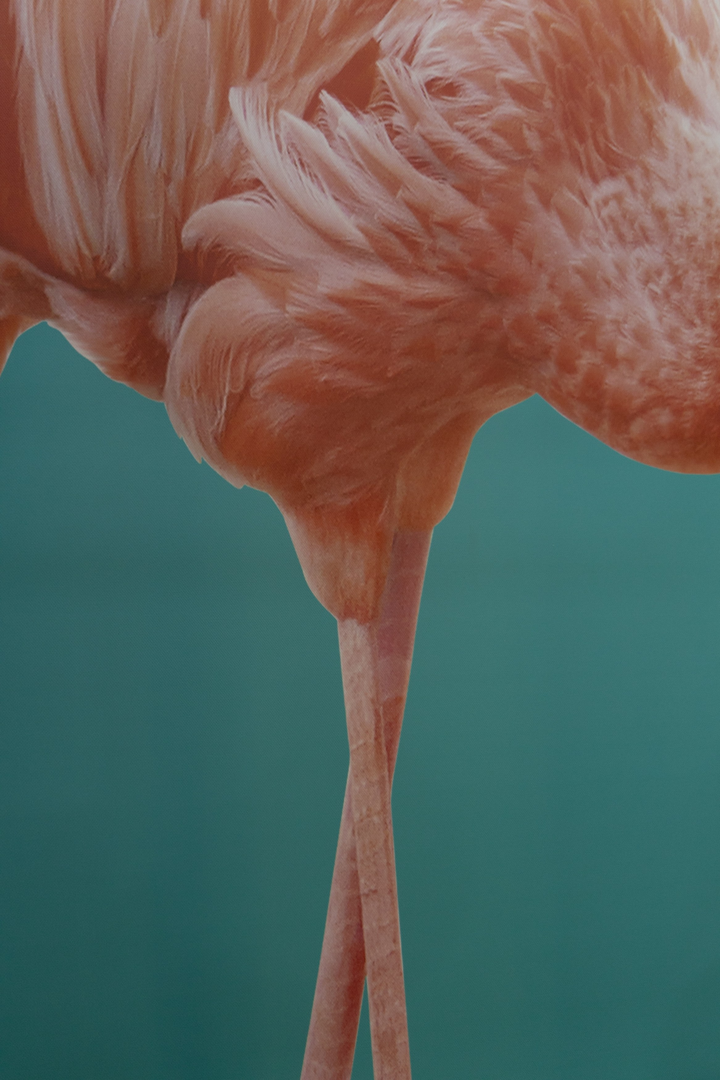 Пир экспо. Свадебный Фотограф в Иркутске Екатерина Елисеева