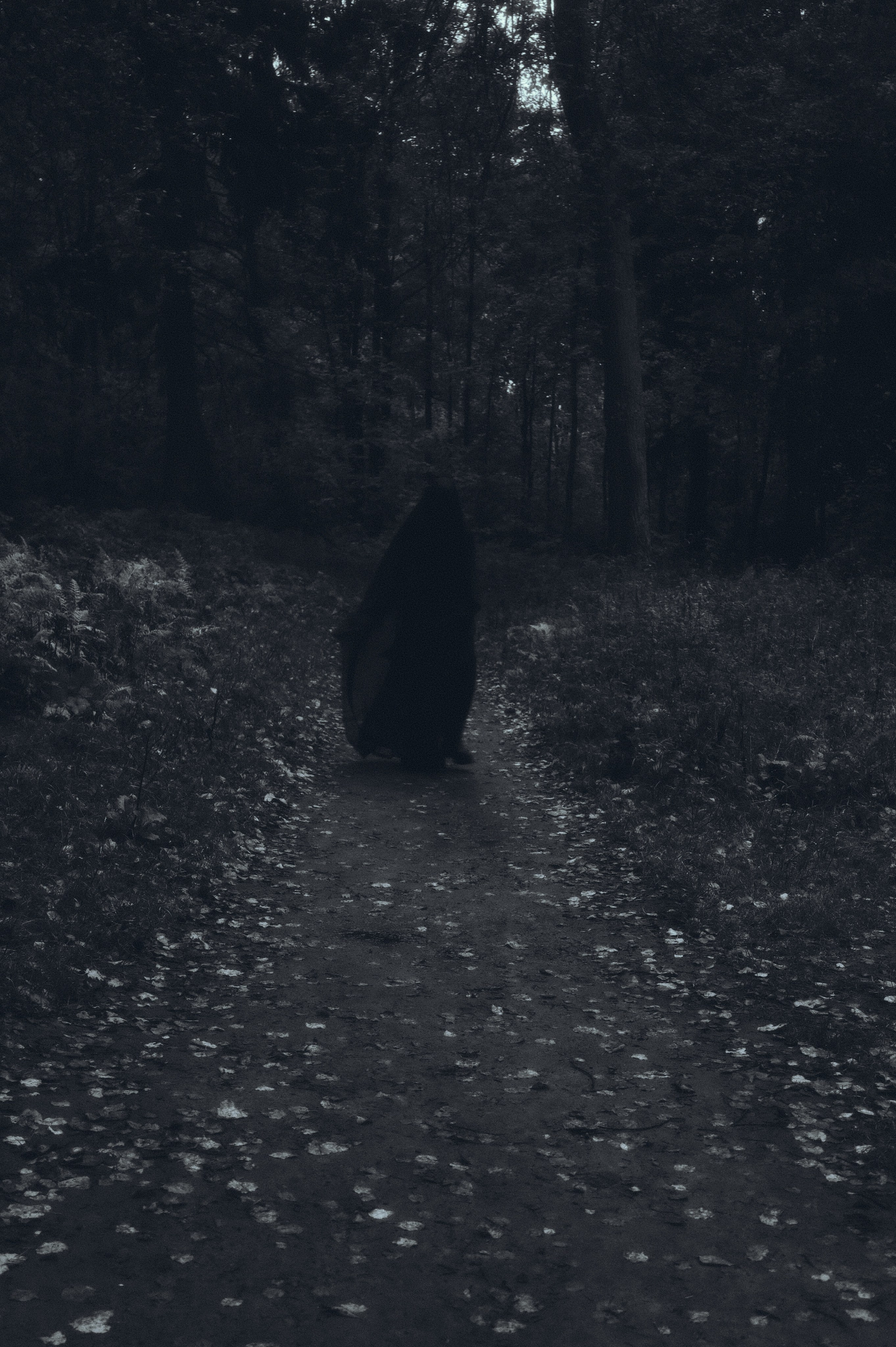 Где спит туман. Ваагн Малхасян | Фотограф | Санкт-Петербург. Создаю атмосферные кадры