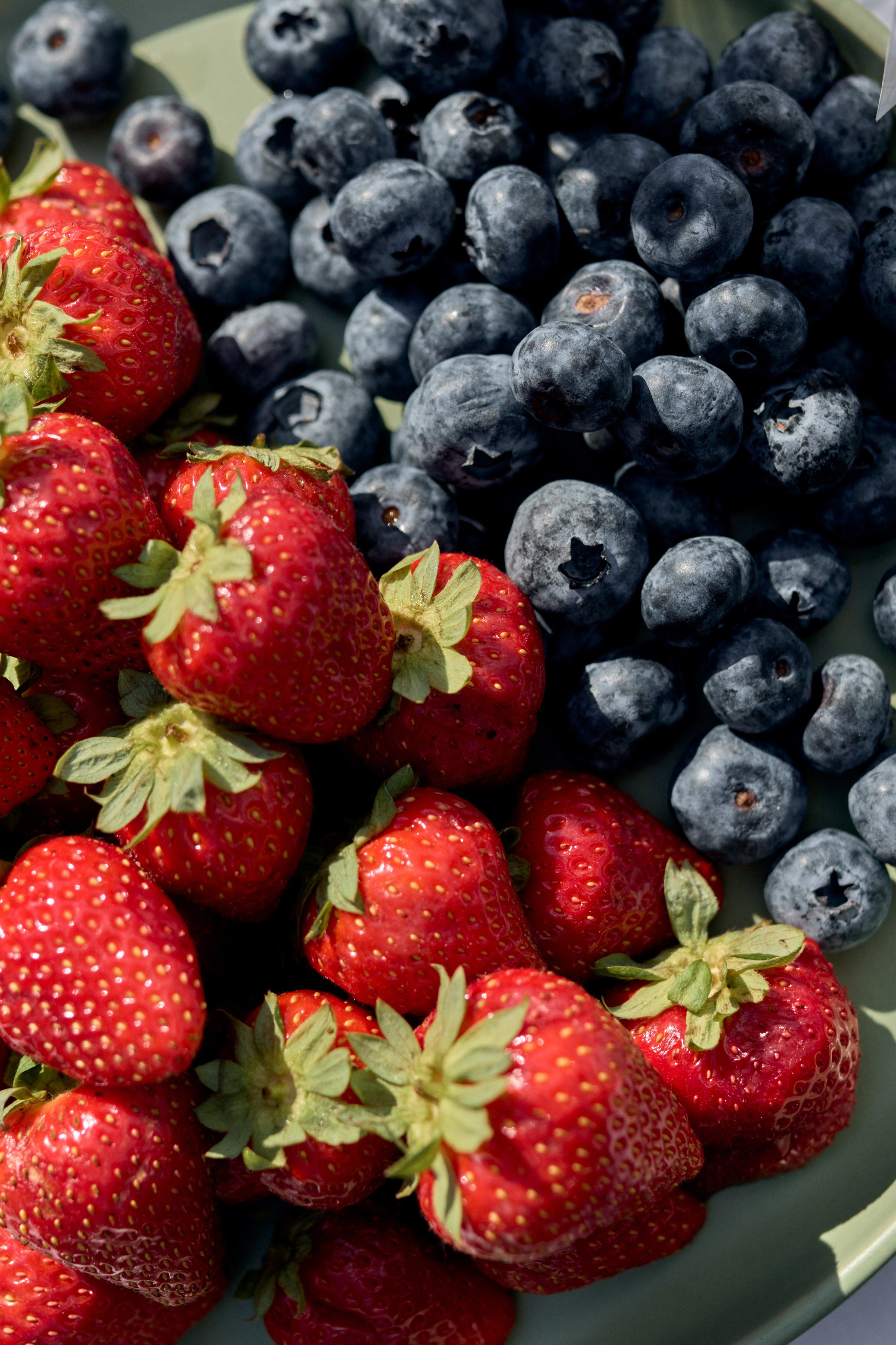 Анастасия и Яков. 05.09.2025. Алина Каравайцева. Фотограф в городе Барнаул