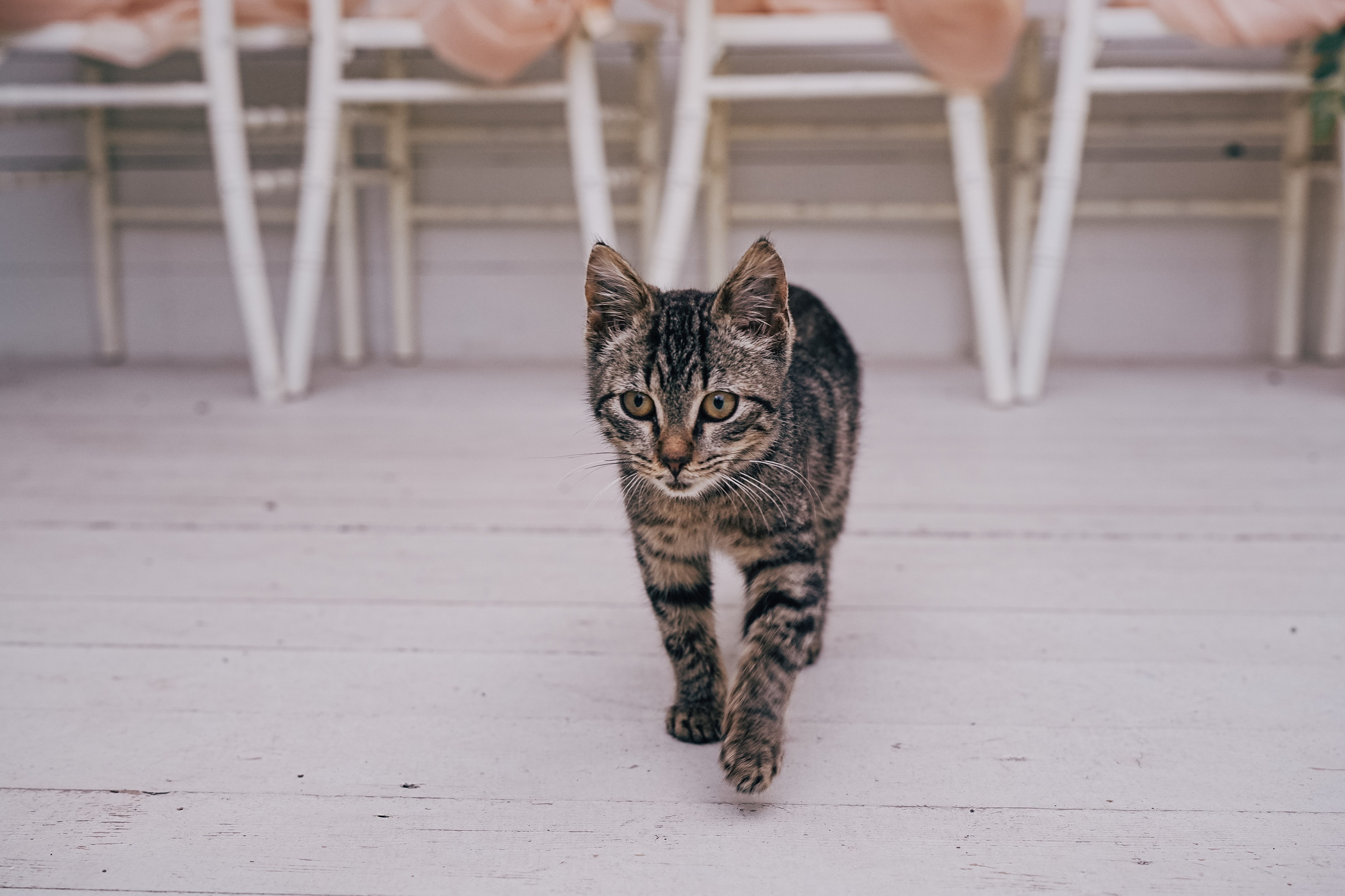 Свадебная съёмка. Фотограф из Санкт-Петербурга Бызина Наталья