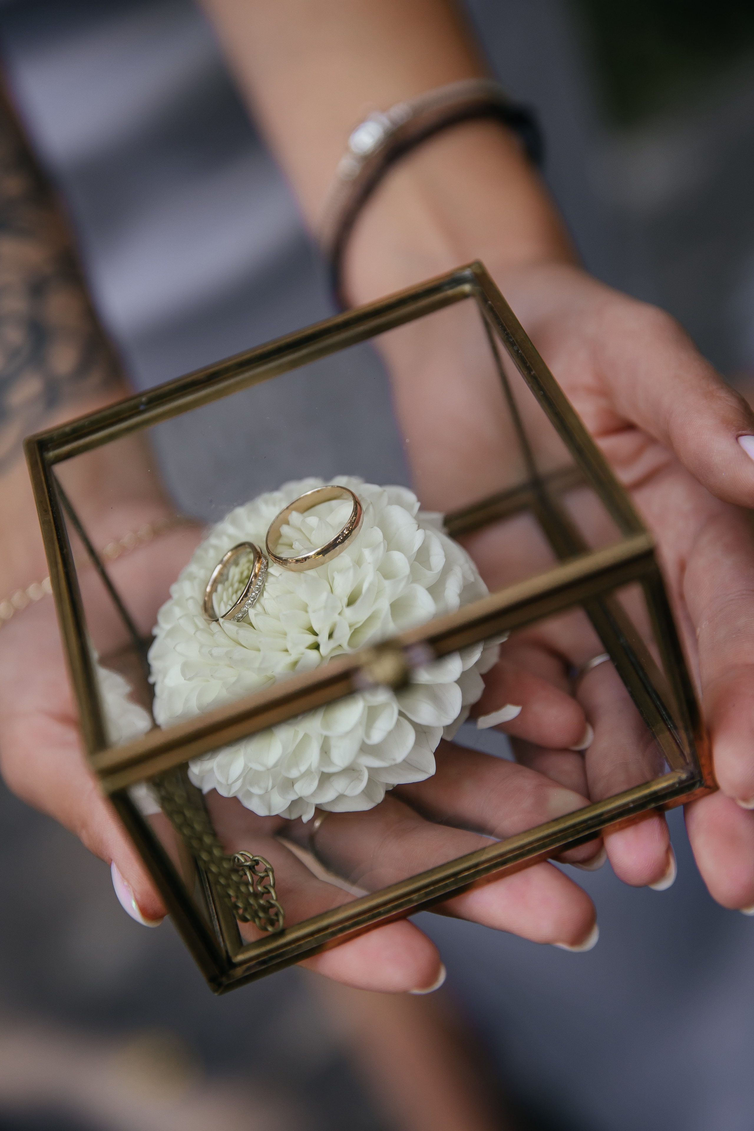 Veronika&Nikita. Валерия Солнцева свадебный и семейный фотограф