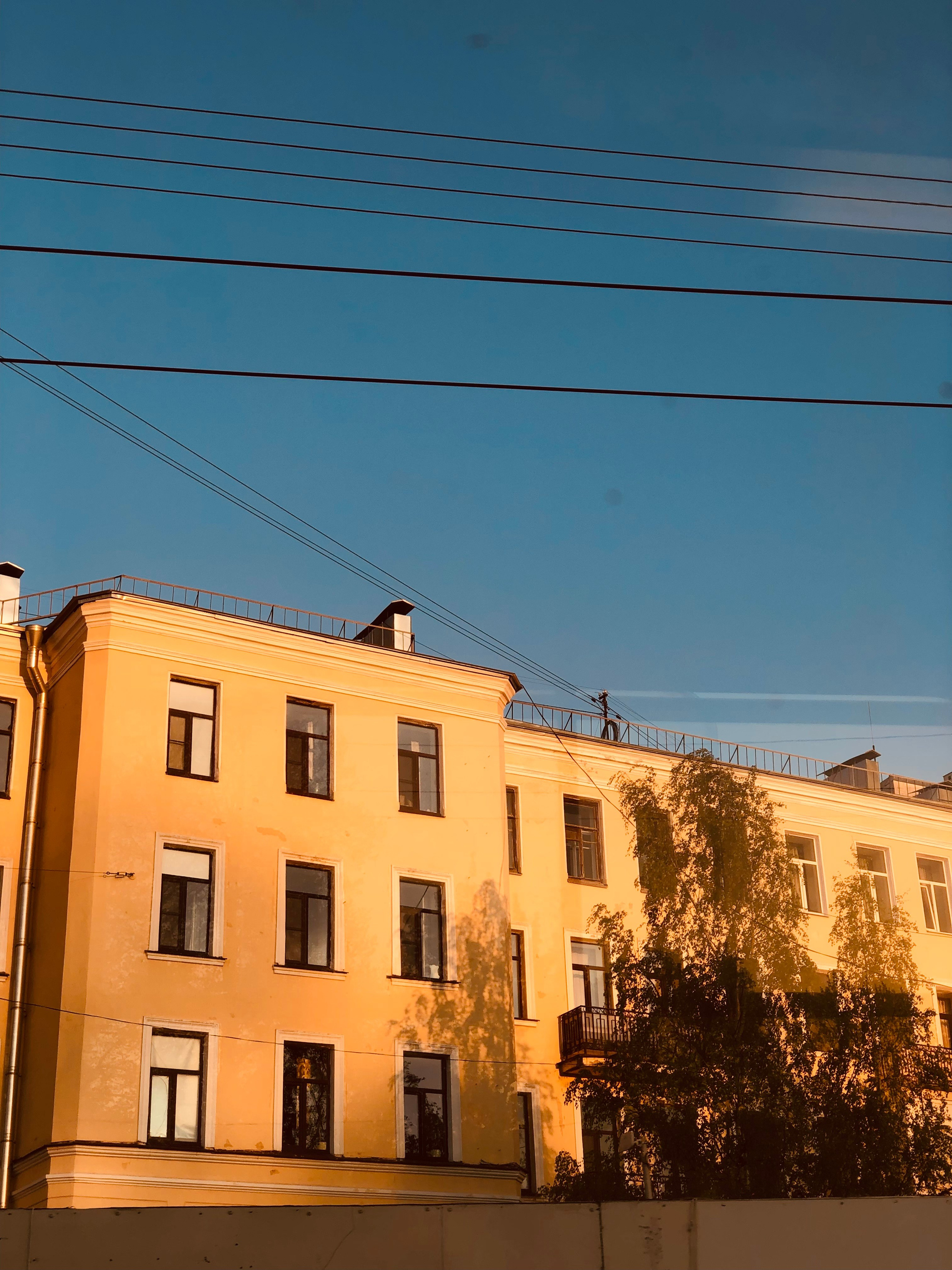 Май. Семейный, Свадебный фотограф СПБ Питер— Романова Екатерина