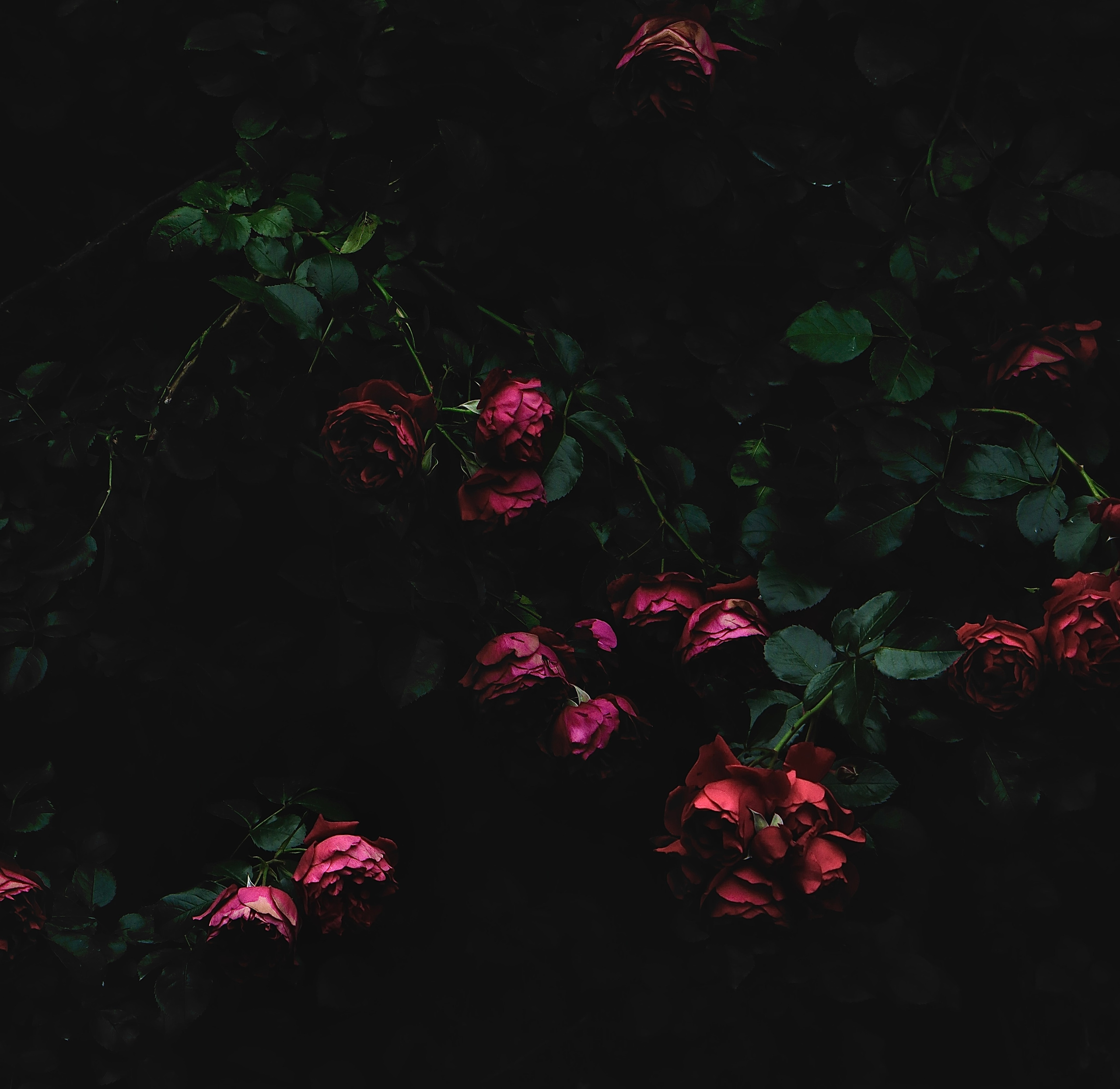 Пейзажи и прочее