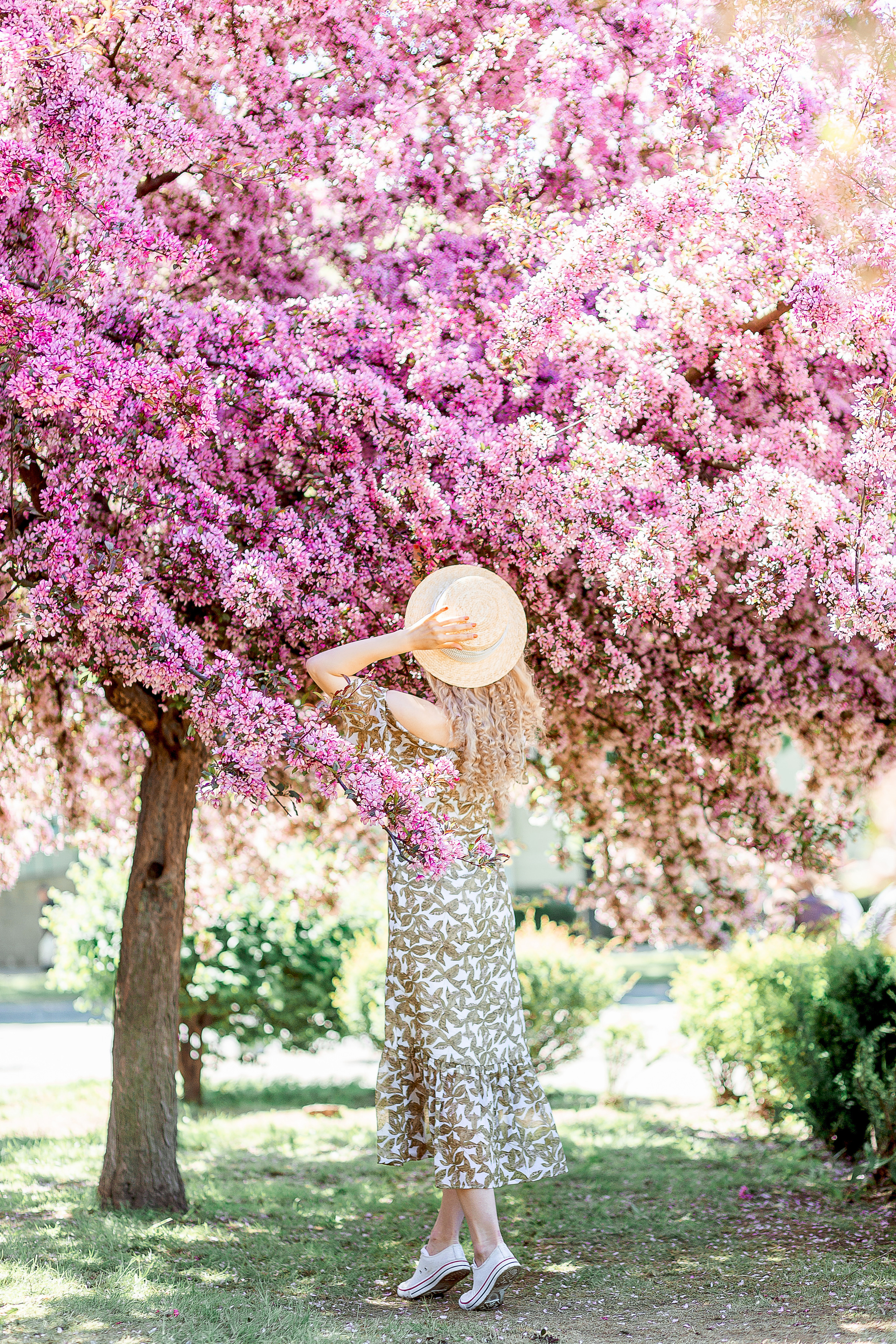 Цветение красной яблони. Семейный детский фотограф. Фотосессия в Минске