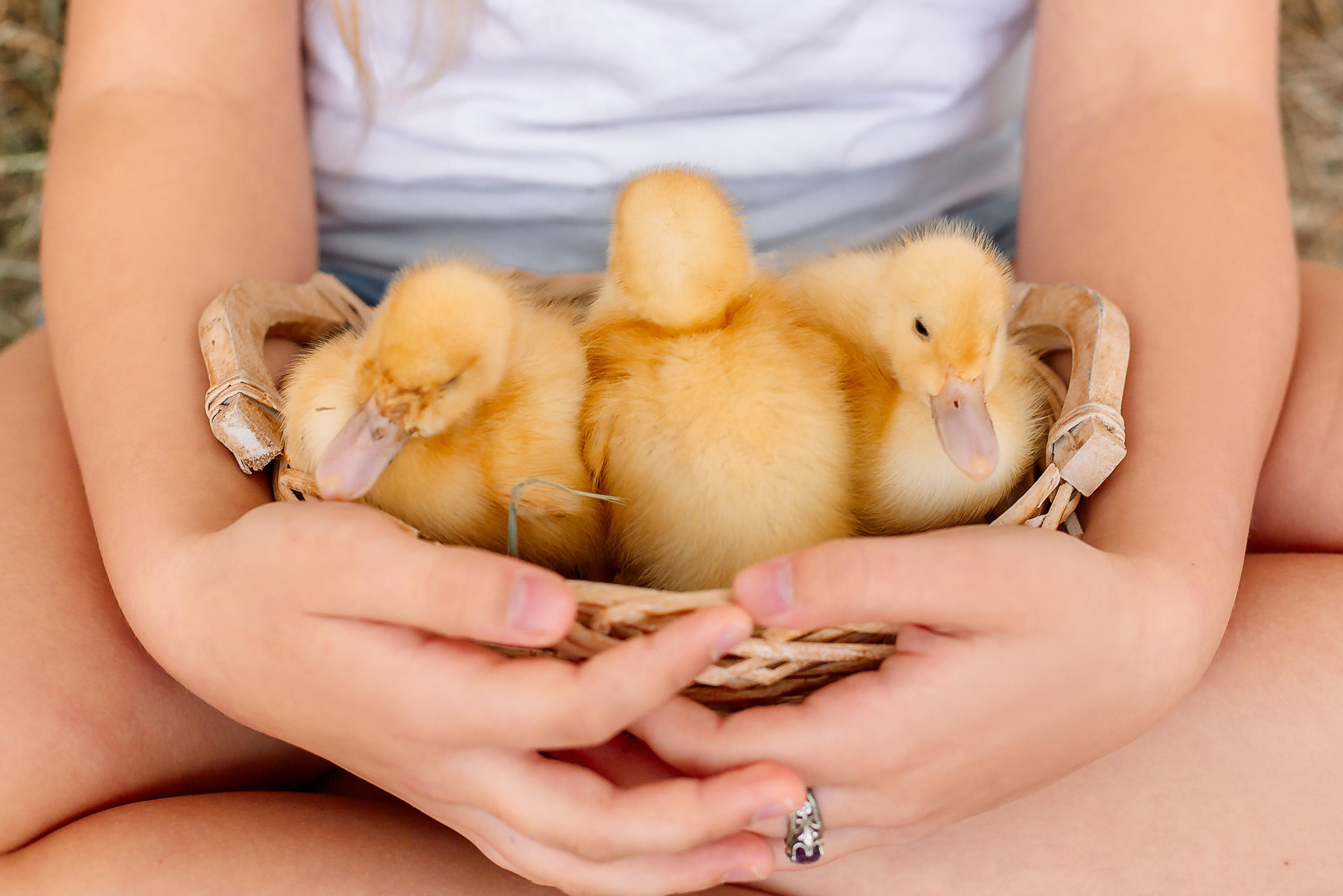 Ангенила. Семейный детский фотограф. Фотосессия в Минске