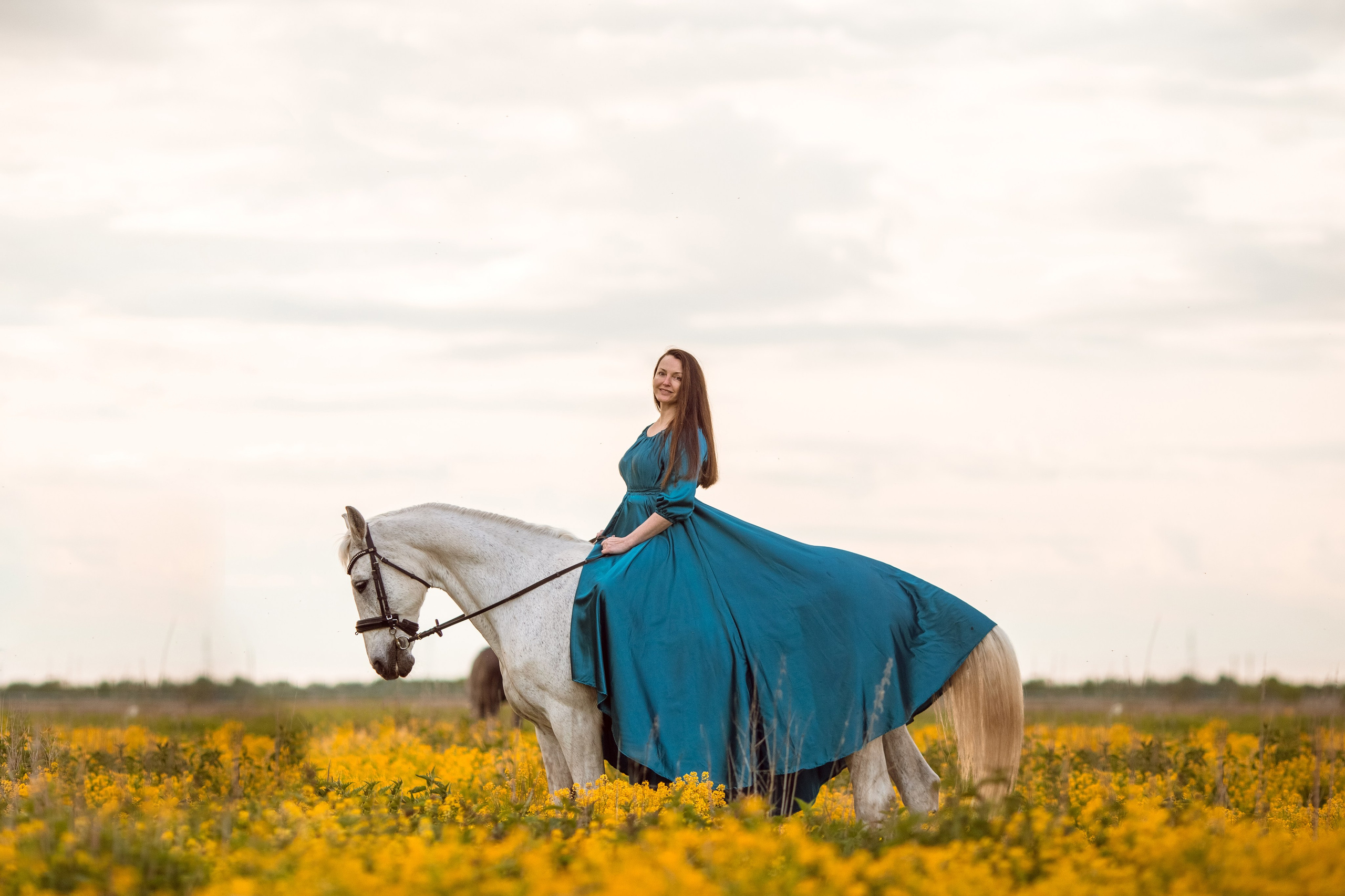 Фотосессия с лошадью в желтом цветущем поле