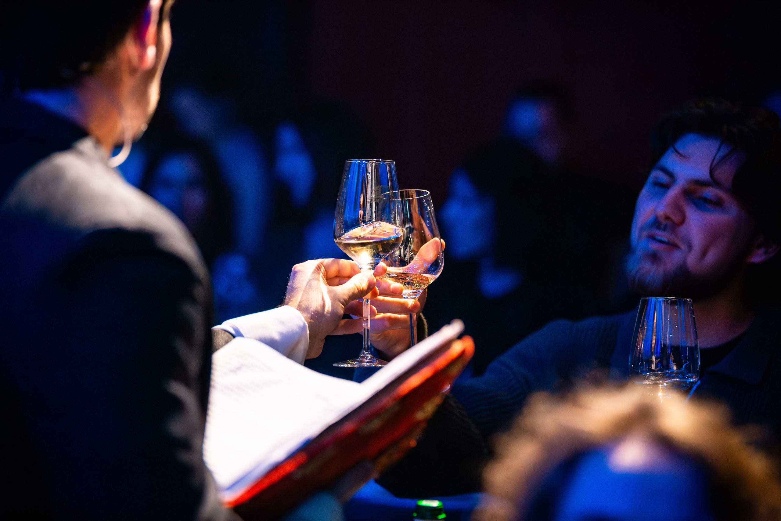 Цирковое шоу. Видеограф Добромыслов