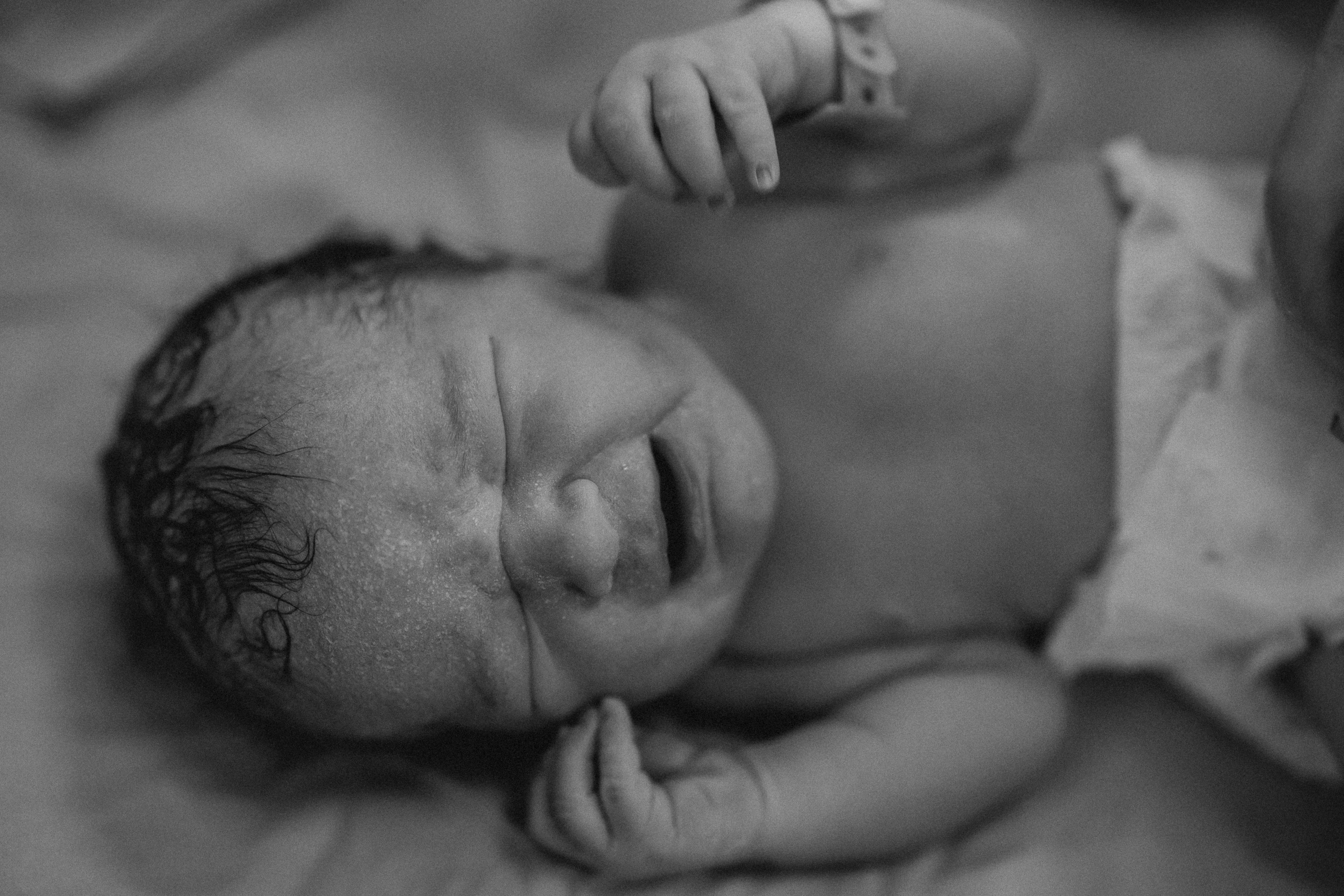 Рождение Владимира. Евгения Пелипас