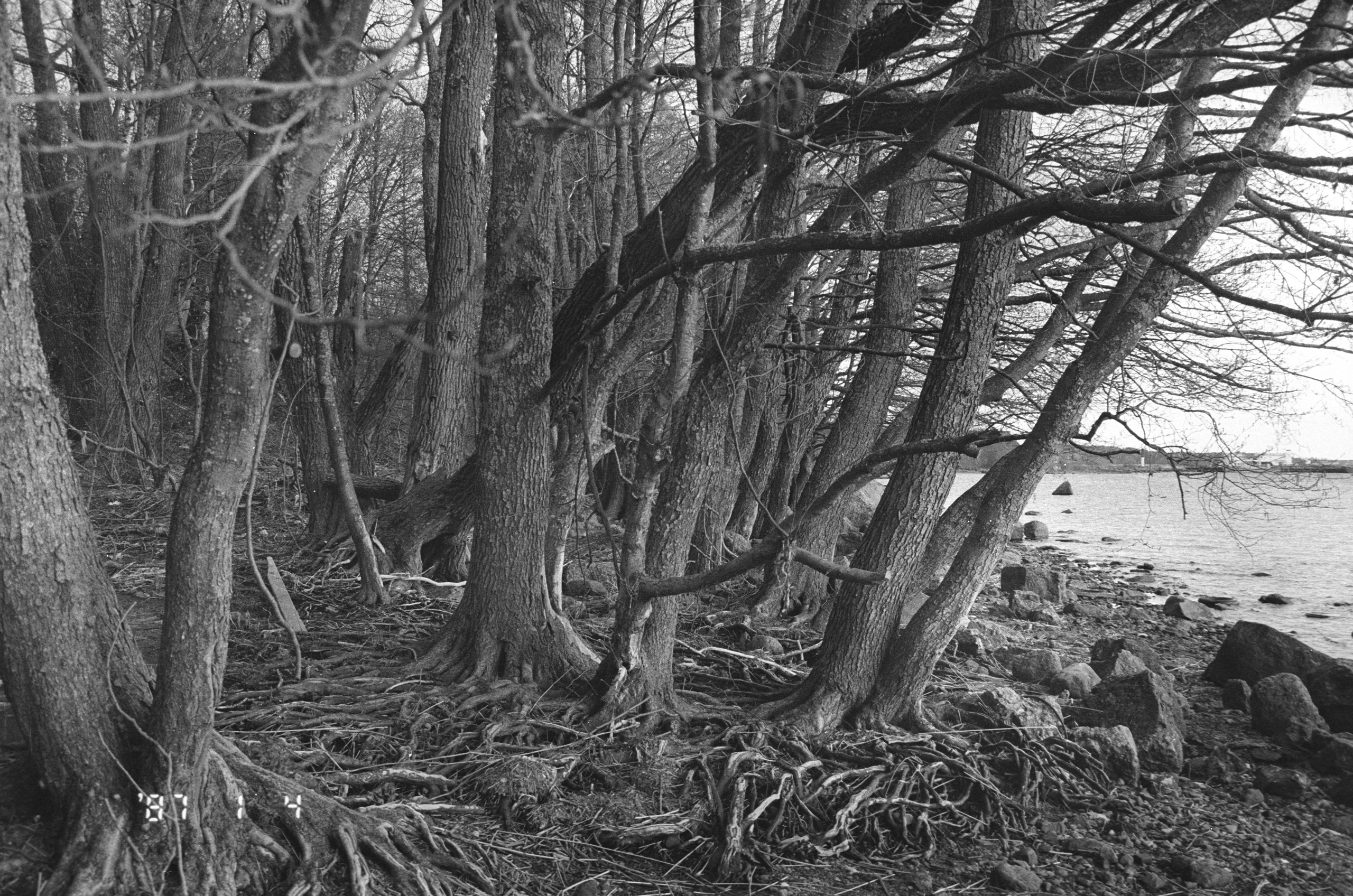 Градации. Фотограф в Санкт-Петербурге Березовский Даниил