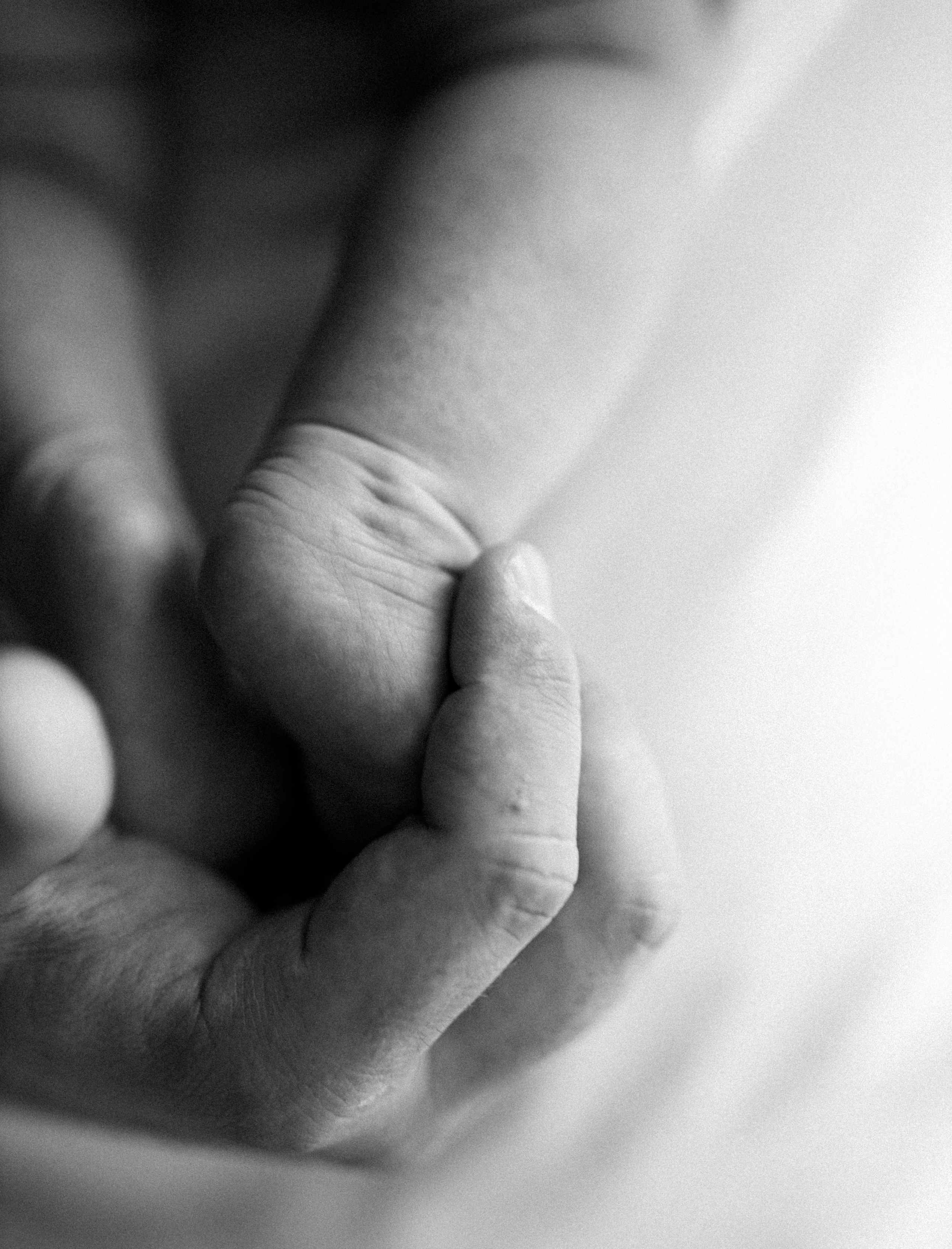 Uliana&parents. Фотограф Москва