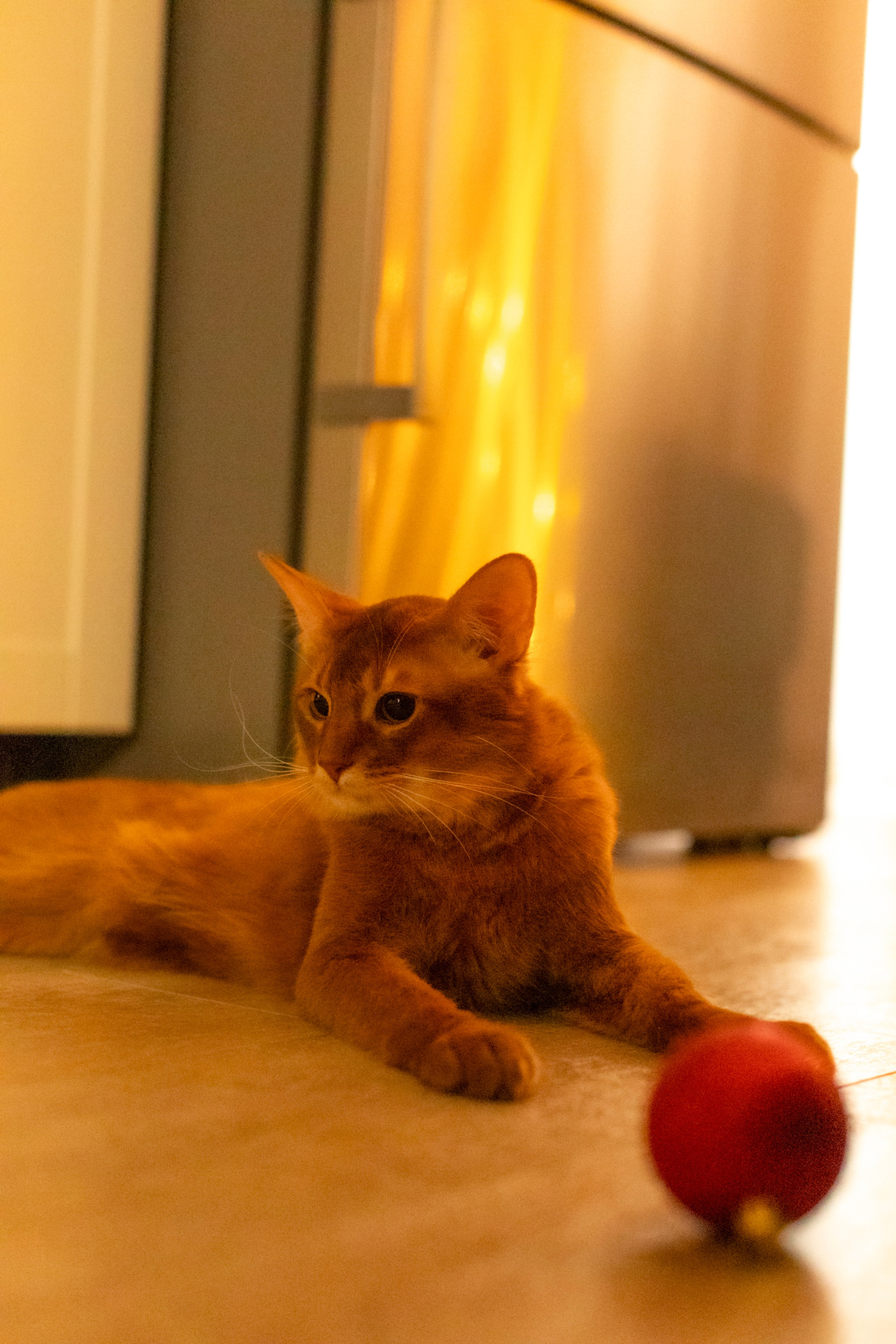 Сомали. Art my Pho