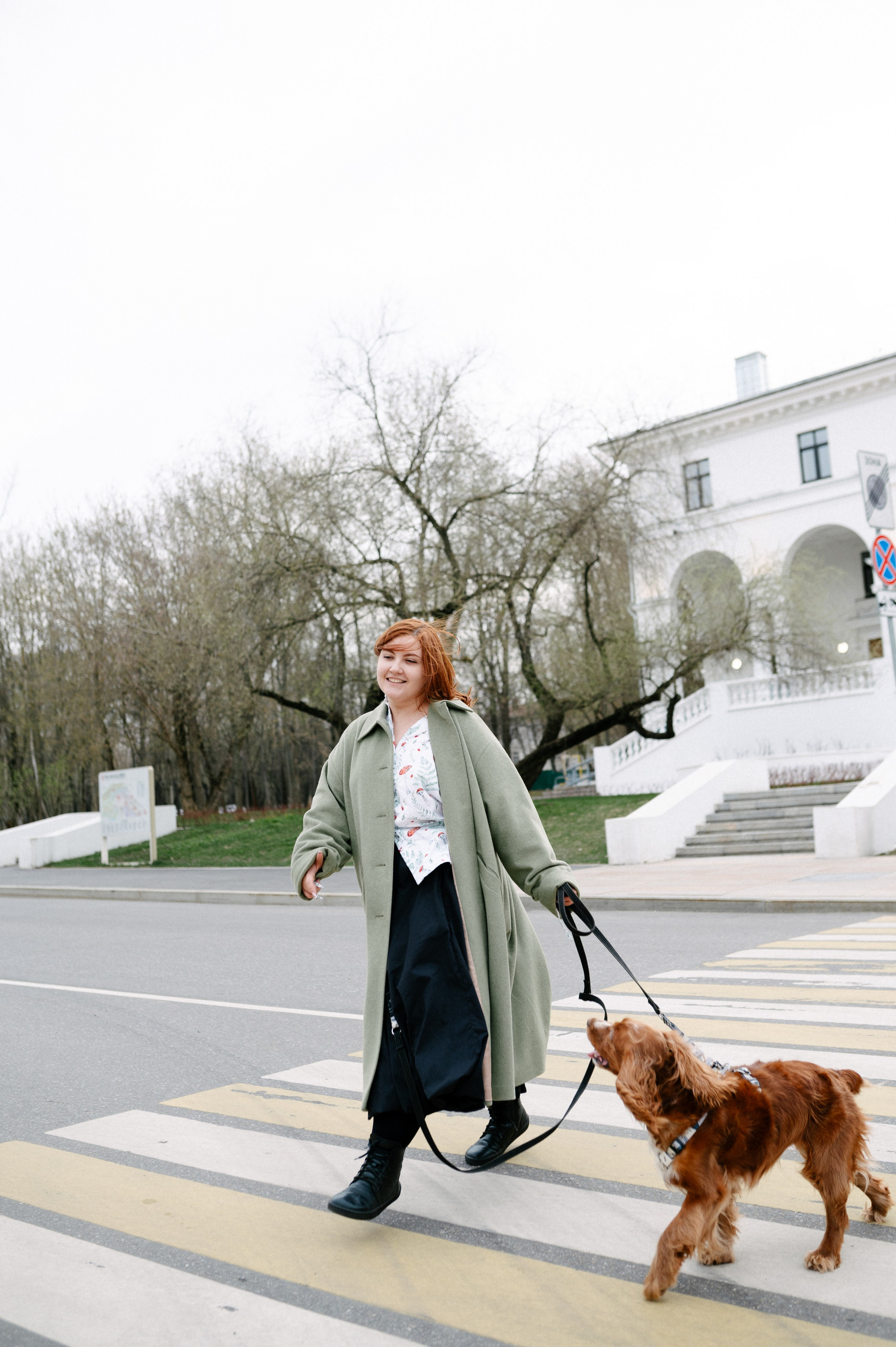 Рыжая команда. Фотограф анималист в Москве Ольга Агушева