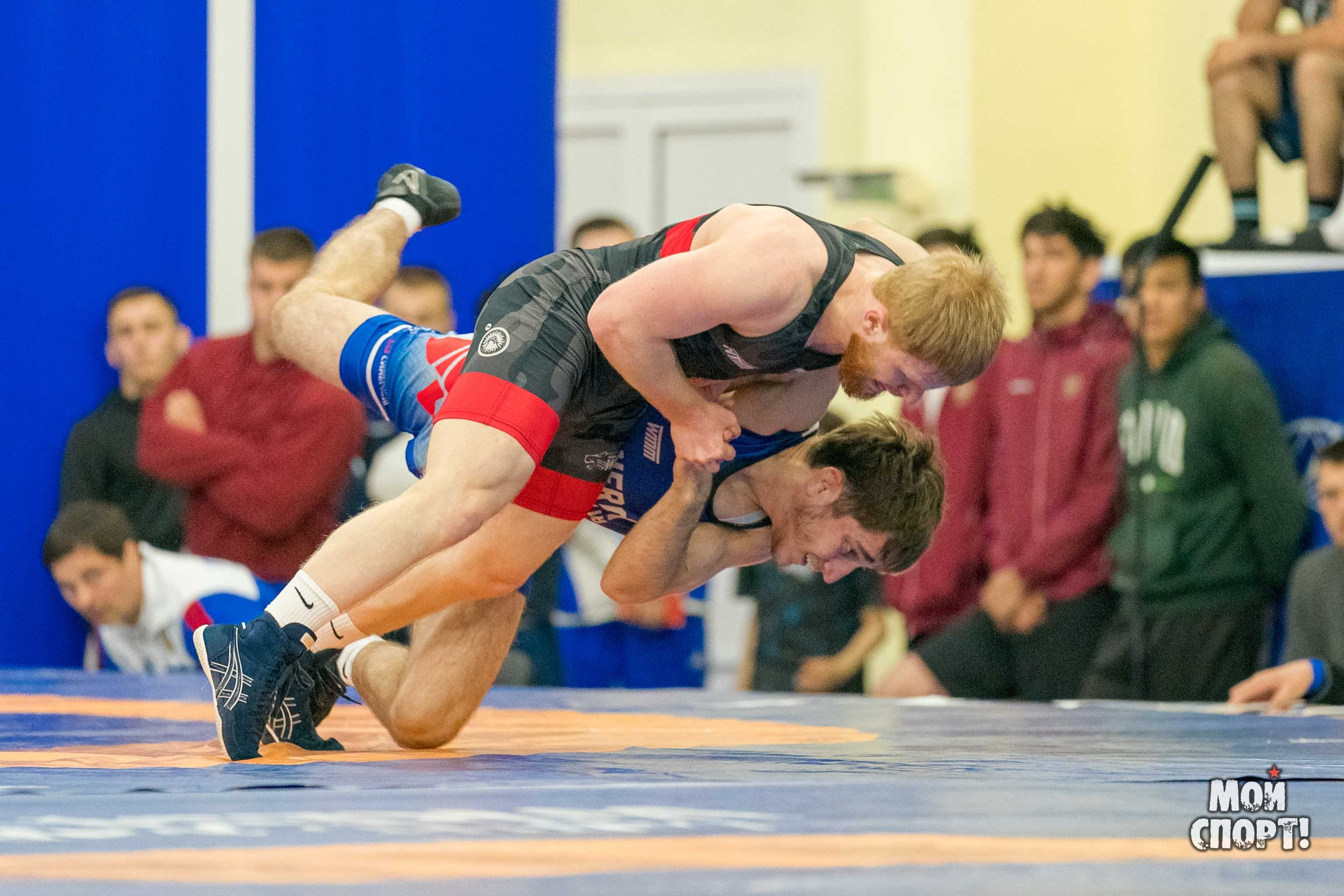 Чемпионат России среди студентов по спортивной борьбе 2024. ГРБ. Студия «Мой Спорт!» — все о спорте в Якутии