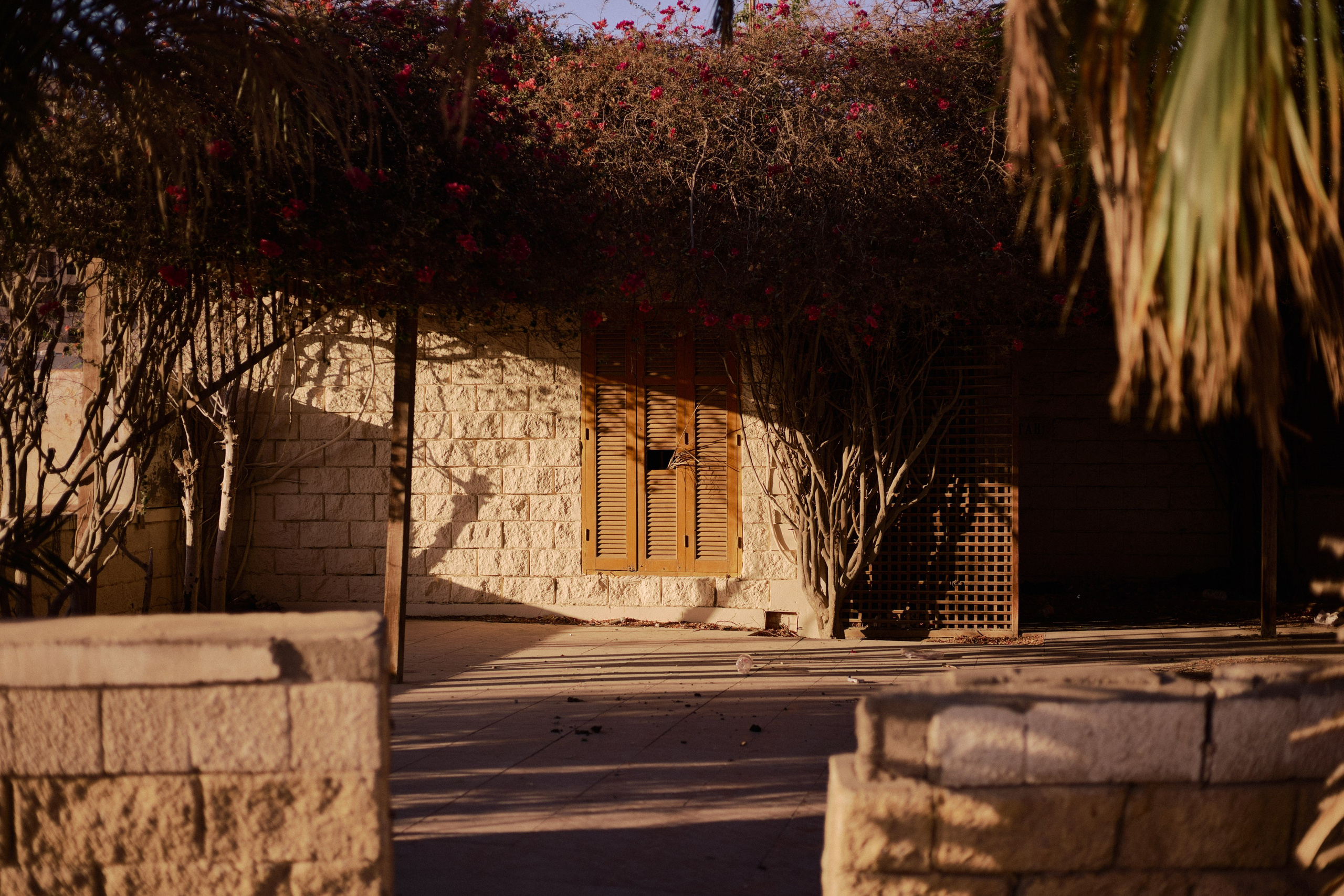 Улица горизонтальная. Jorgis — фотограф в Хургаде / обучение фотографии