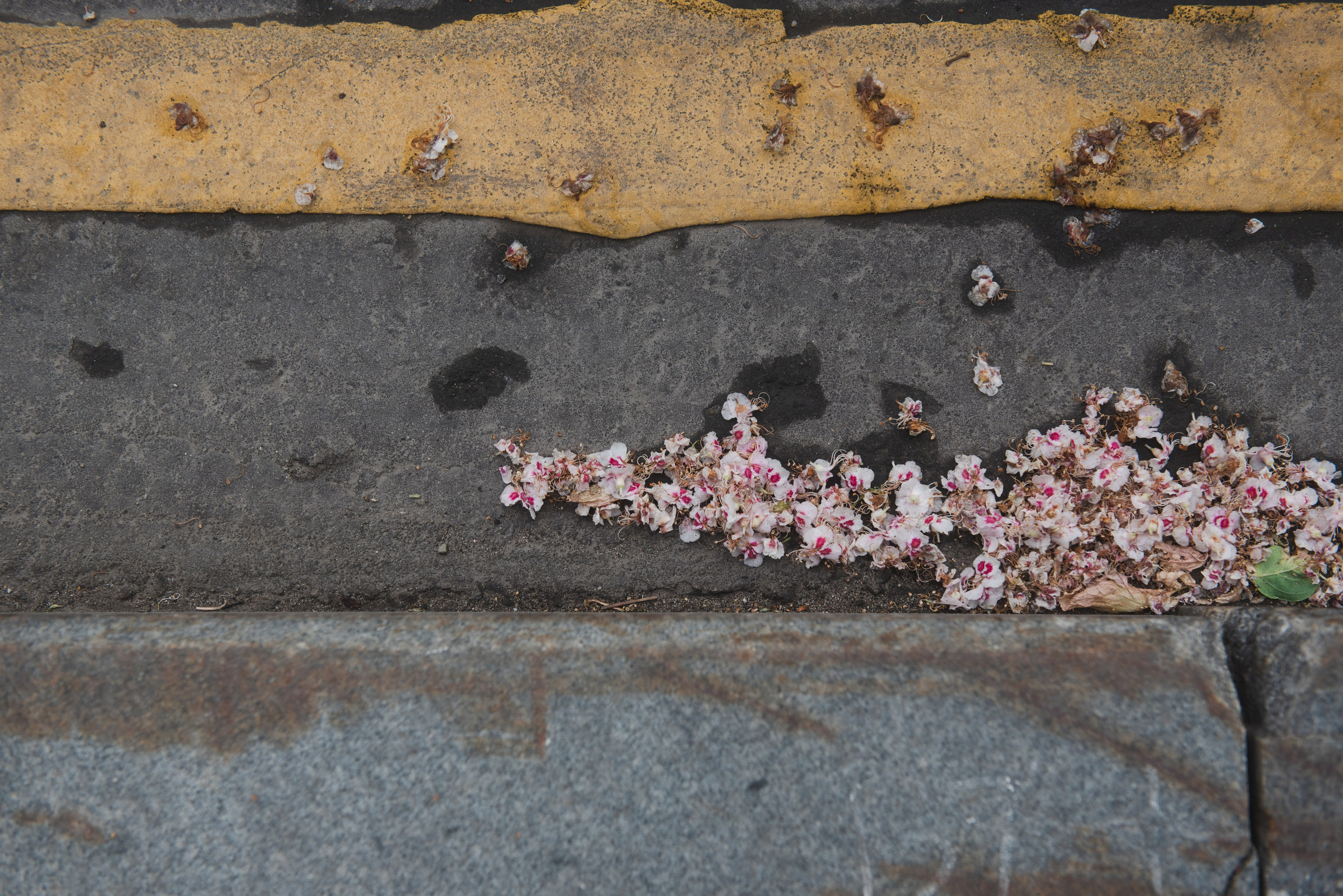 Среда. Портретный и архитектурный фотограф в Москве и Санкт-Петербурге