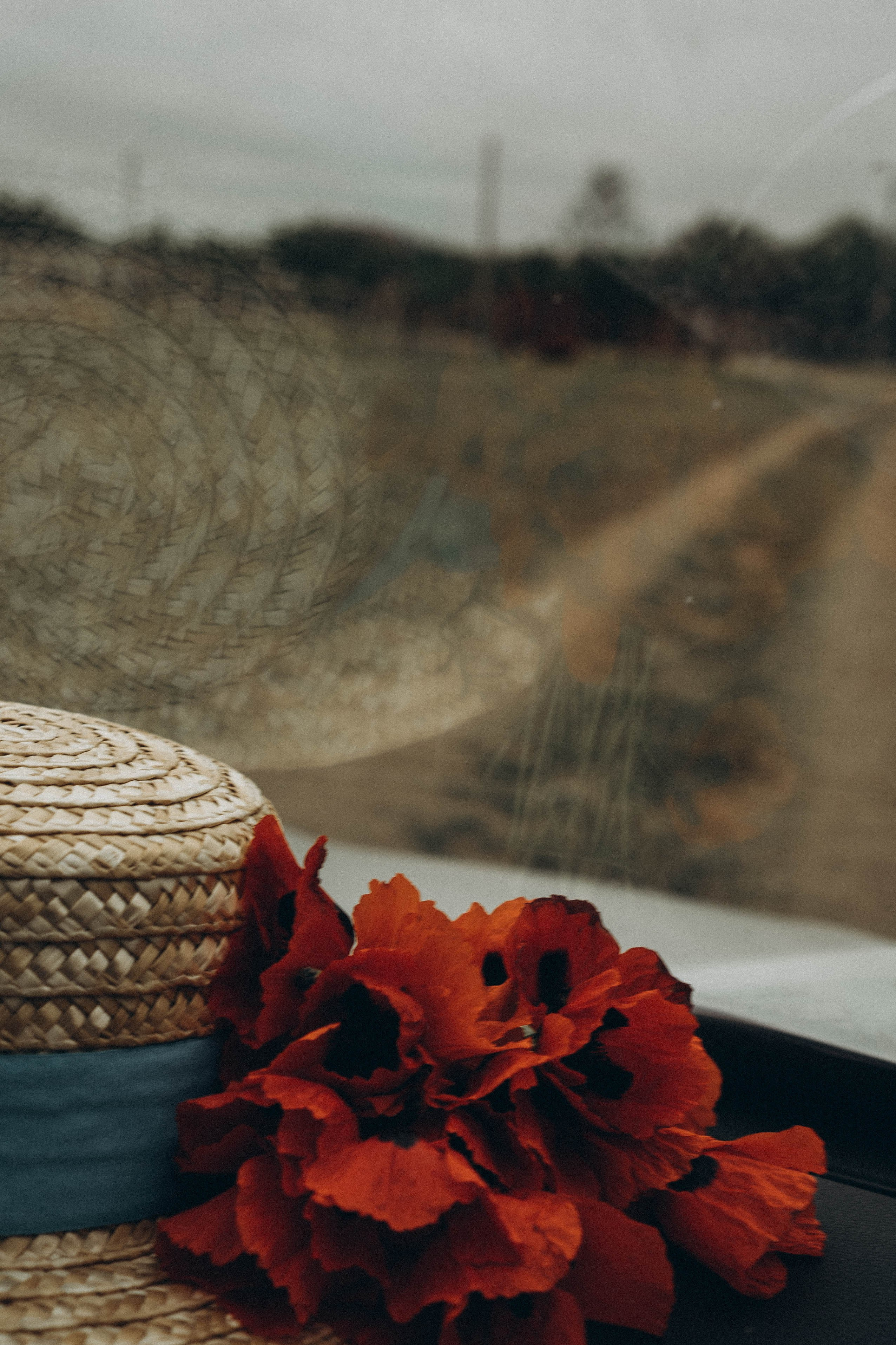 Кавказ. Профессиональный фотограф, Санкт-Петербург — Виктория Богомолова