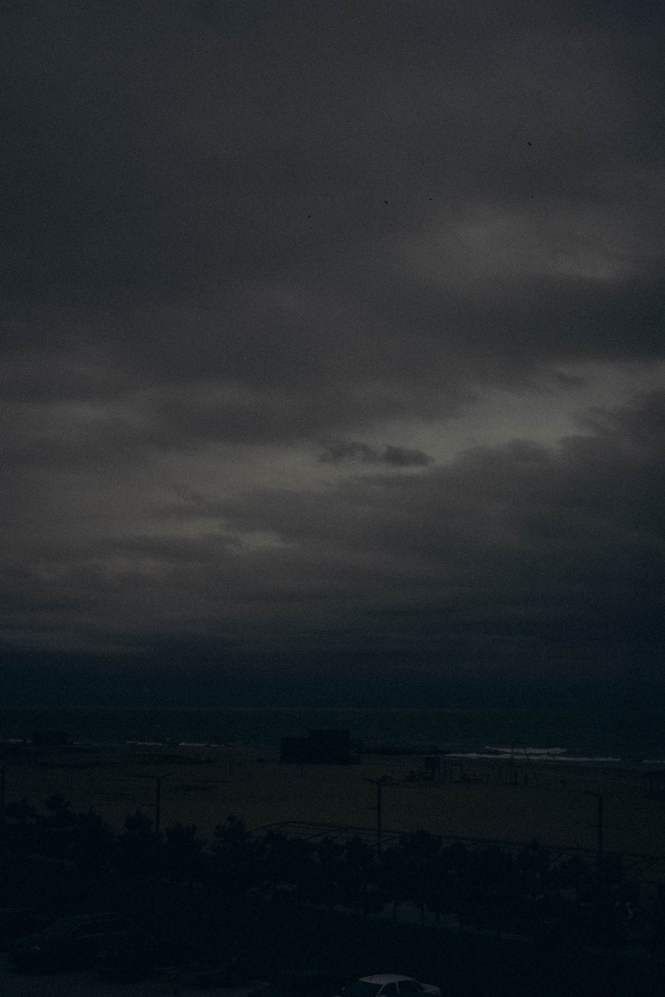 Кавказ. Профессиональный фотограф, Санкт-Петербург — Виктория Богомолова