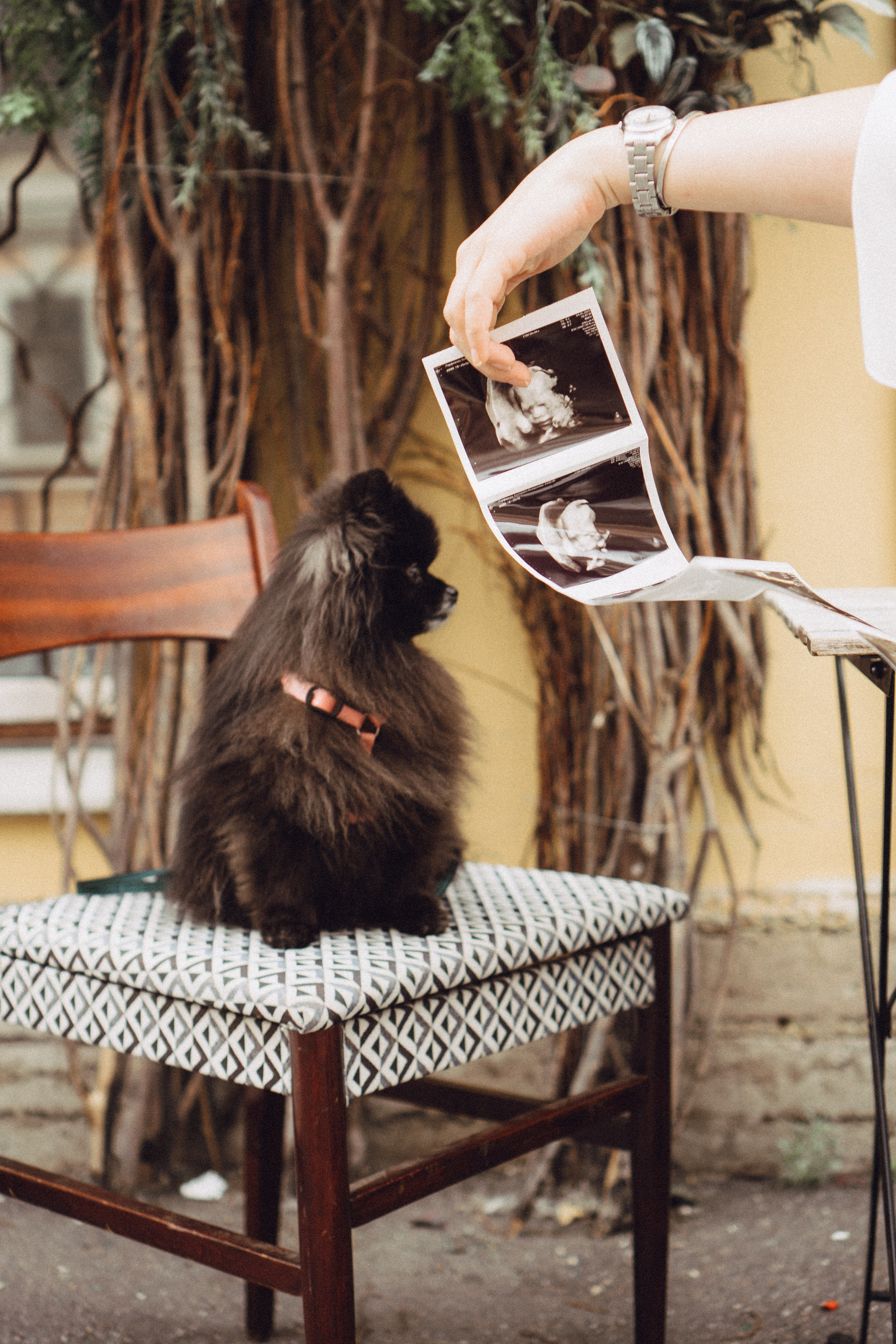 Беременность (только часть фото по желанию клиентов могу показать)). Профессиональный фотограф, Санкт-Петербург — Виктория Богомолова