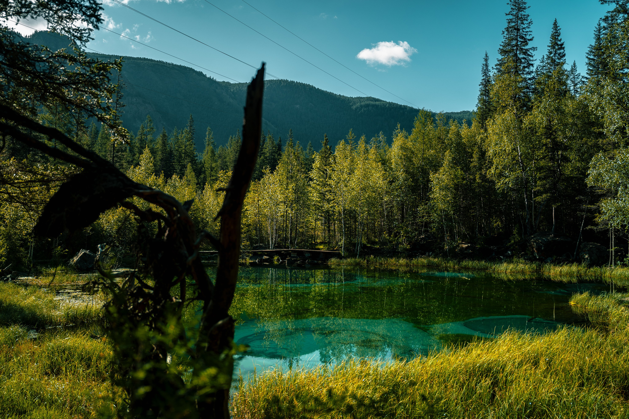 Алтай. Оператор и Фотограф в Санкт-Петербурге и Москве