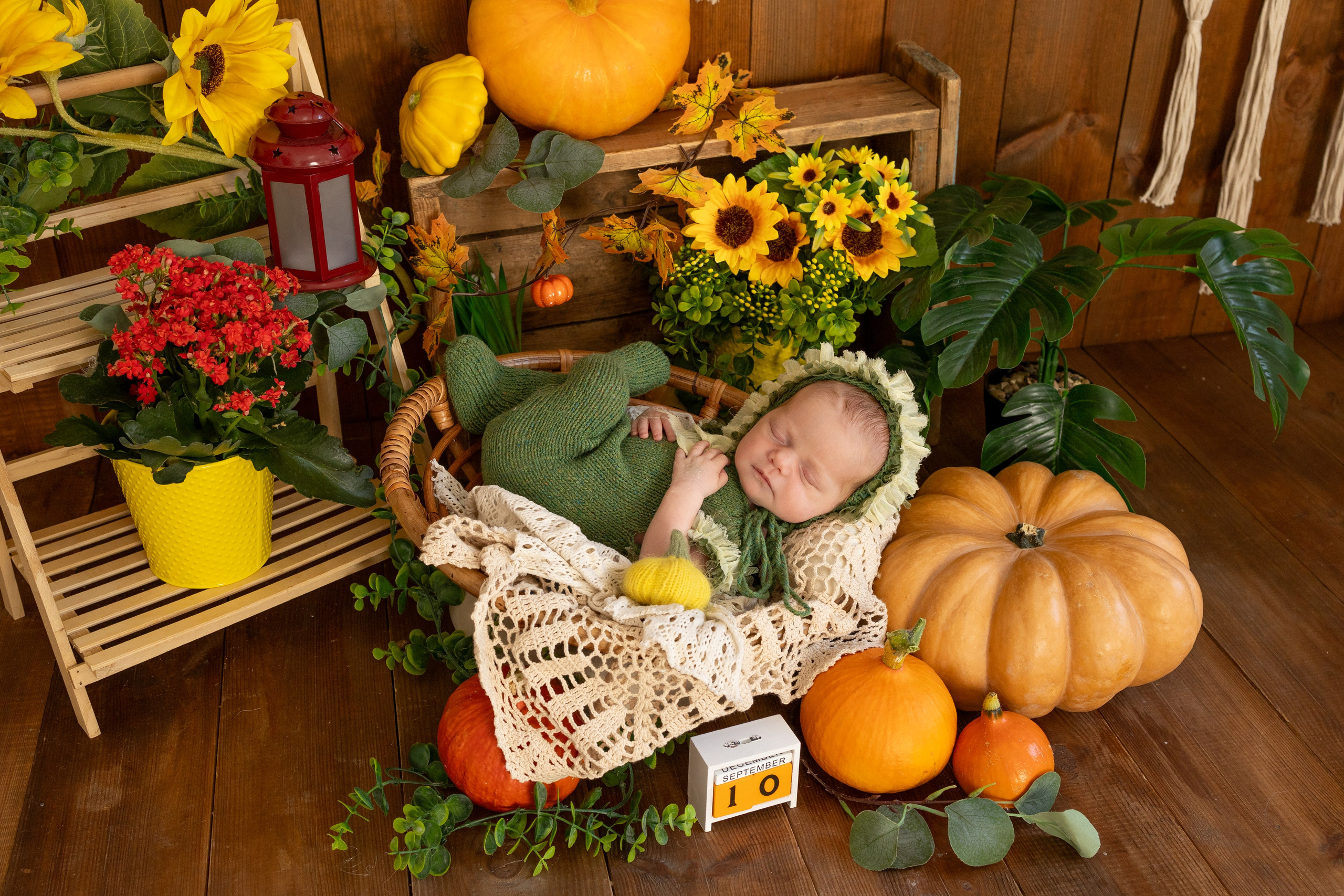 НОВОРОЖДЕННЫЕ. Фотограф новорожденных г. Тула