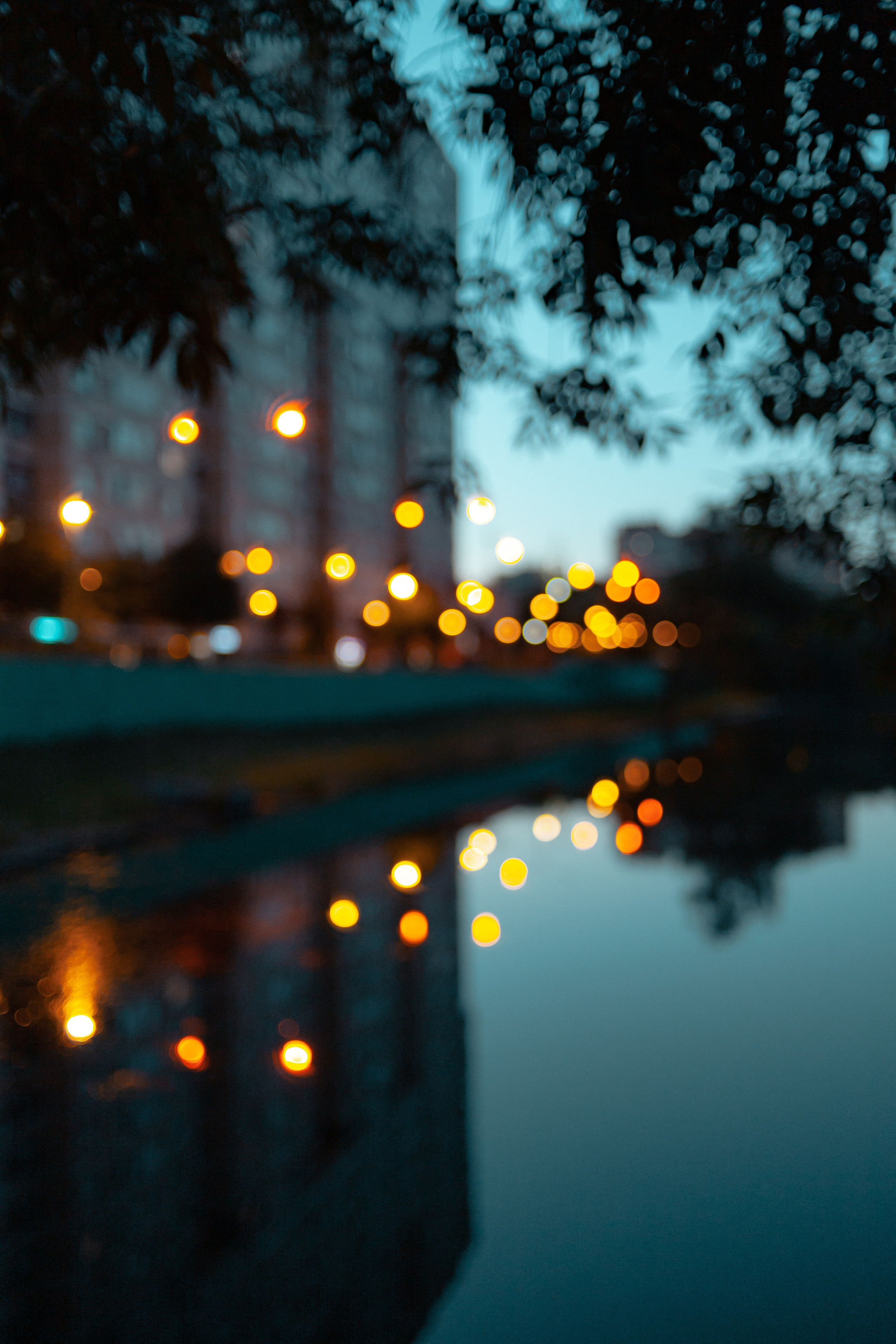 More bokeh. Папка кадров 📁