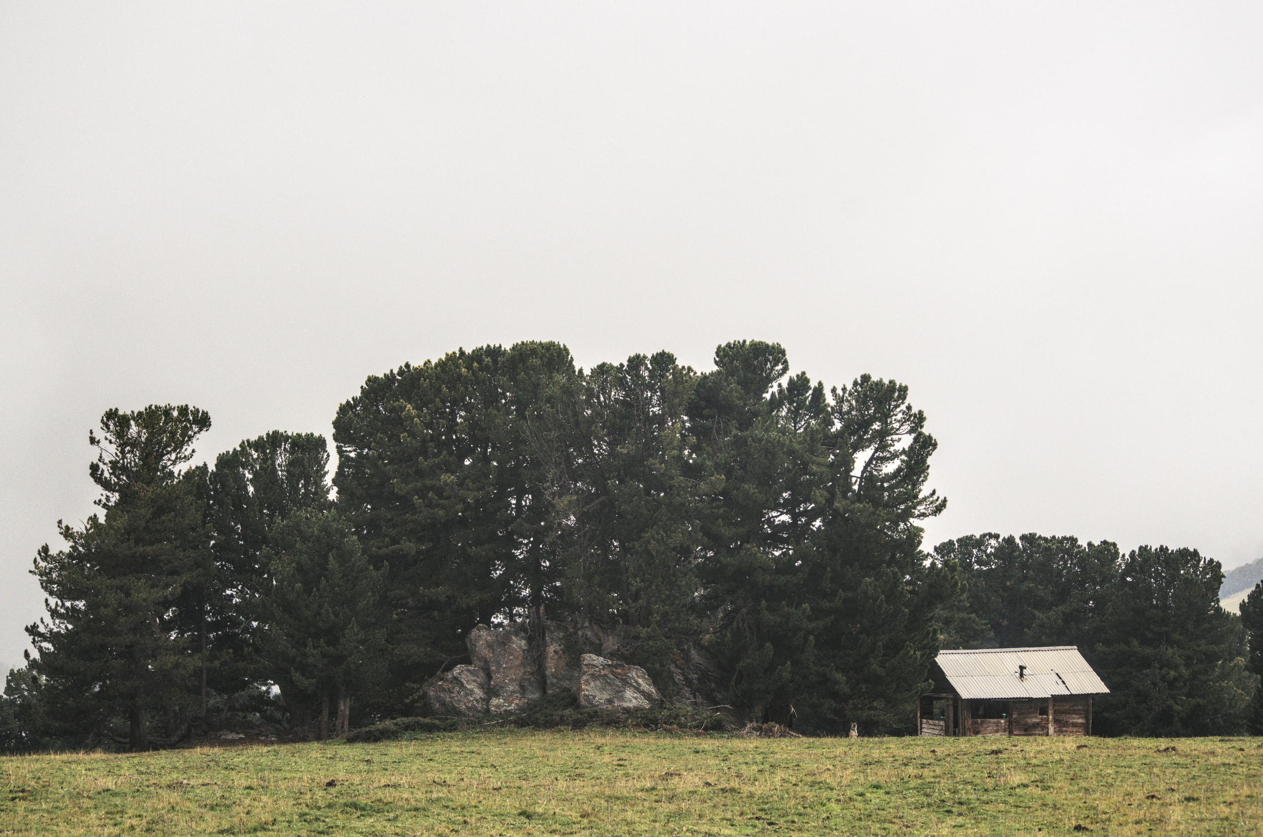 Алтай. Фотограф анималист, пейзажист, спортивные мероприятия. Новосибирск