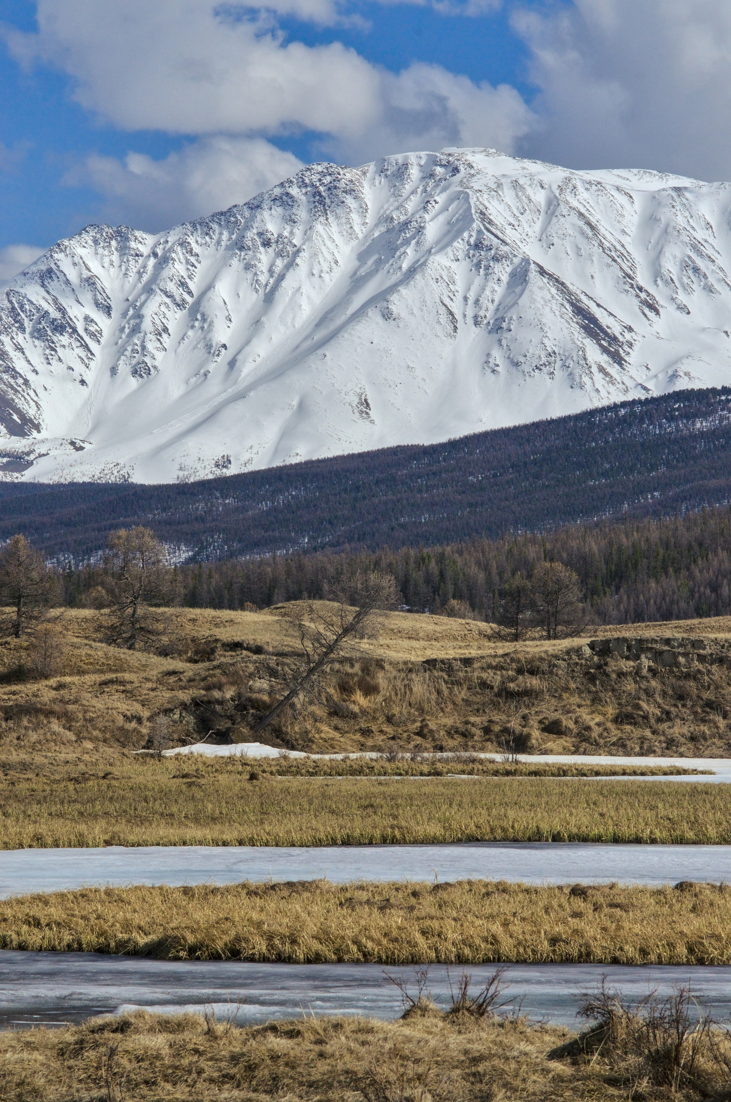 Алтай, Северо Чуйский хребет, курайская степь, Джангисколь