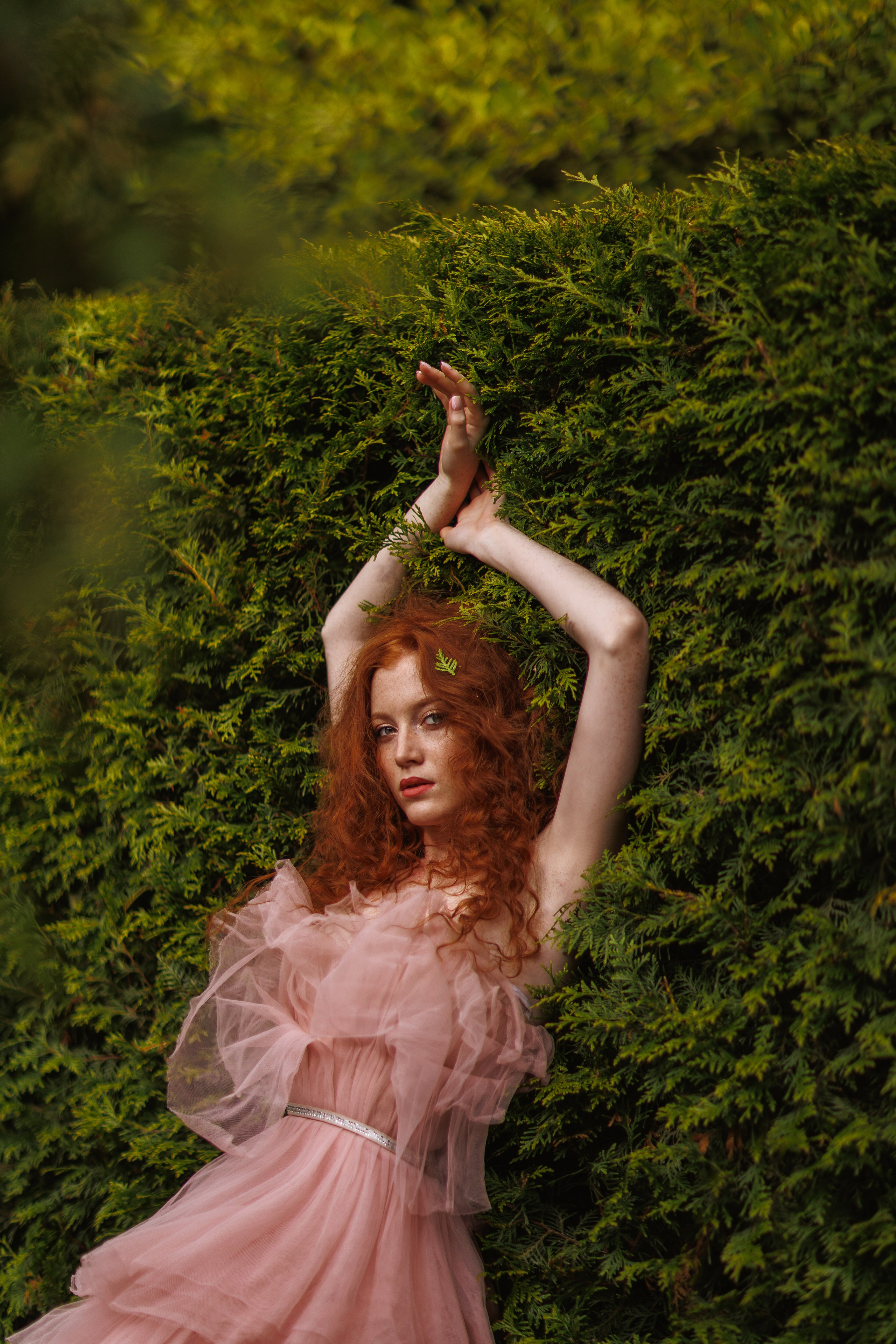 Света «Алиса в стране чудес». Марковкина КрисТина