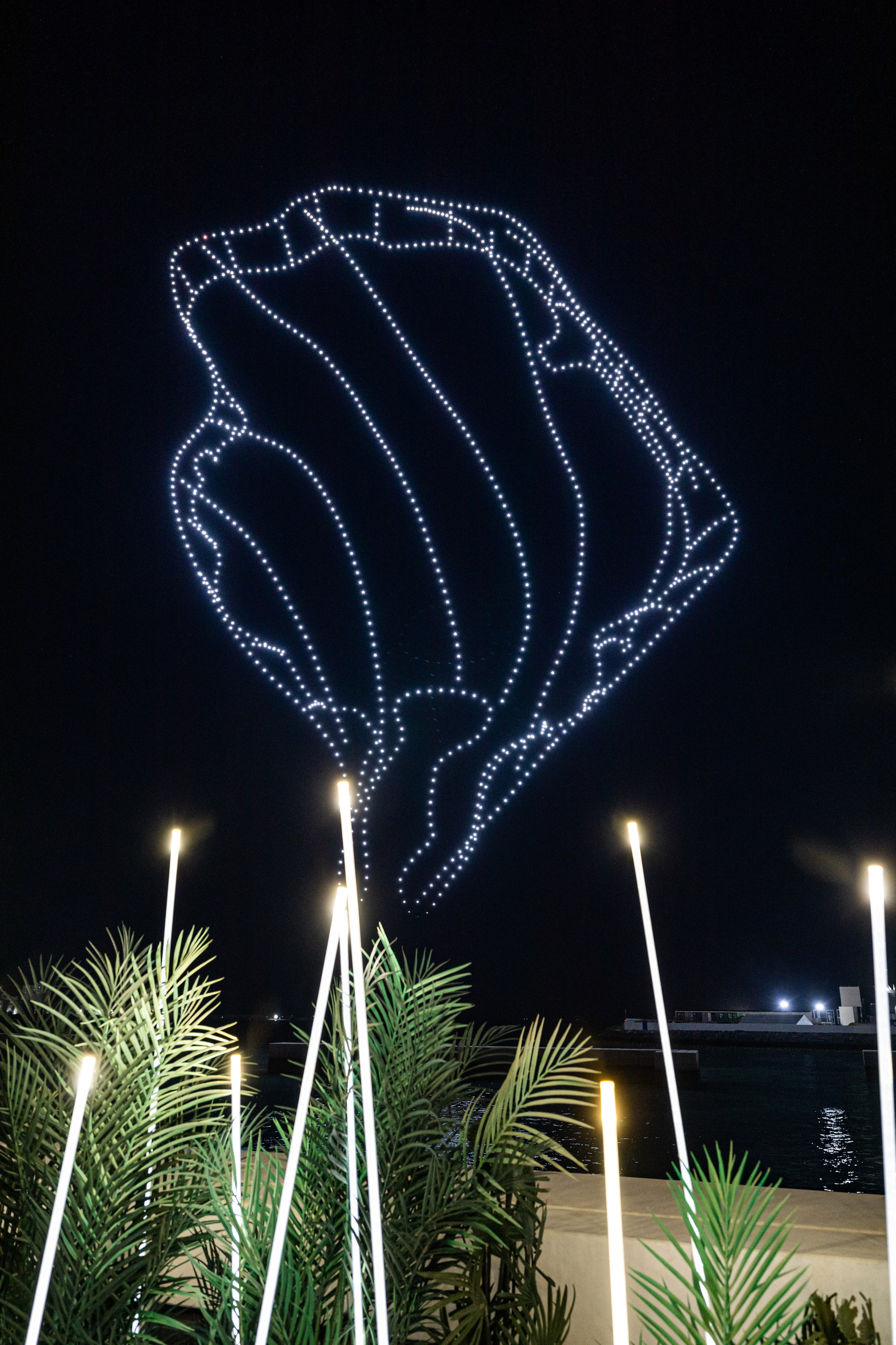 Новогодняя поездка в Дубай. Фотографирую жизнь! Московский фотограф волонтер