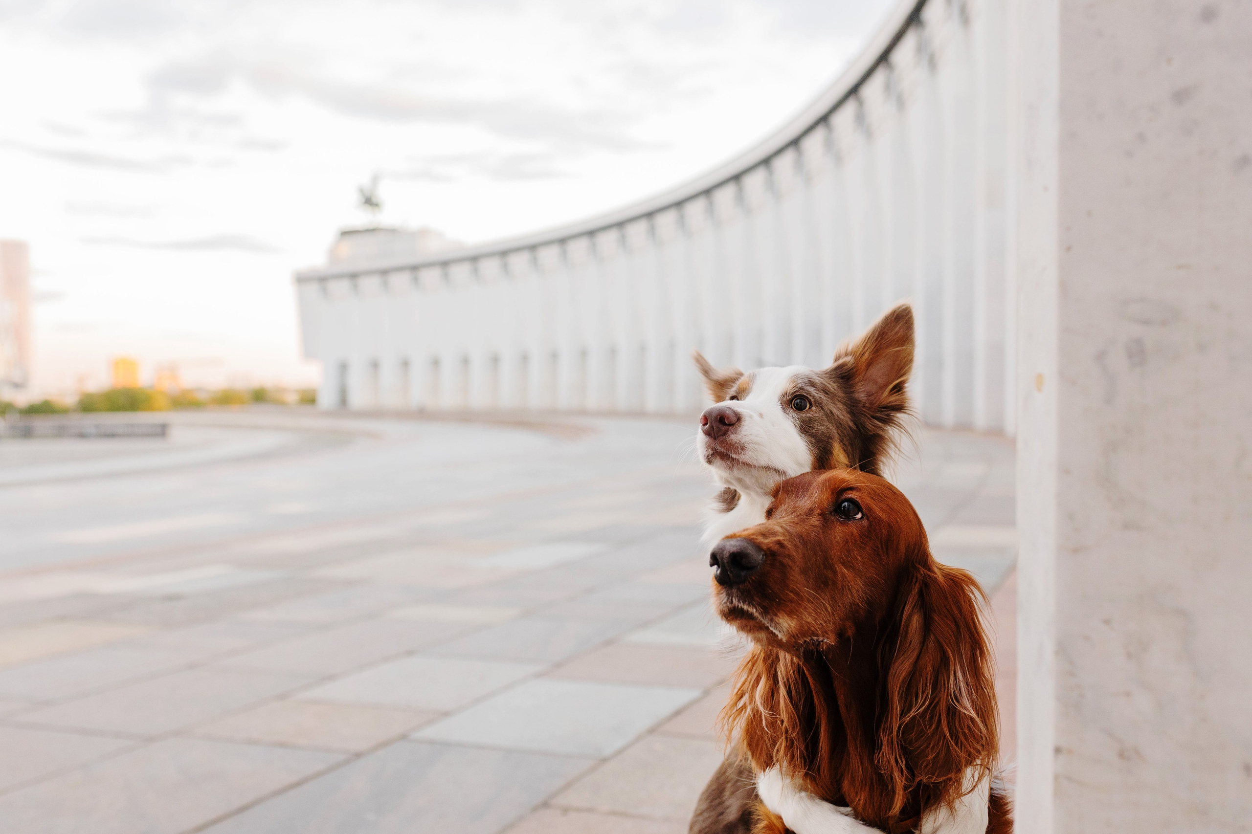 Москва / Маша, Лика и Рафта. Фотограф Кузина Вера