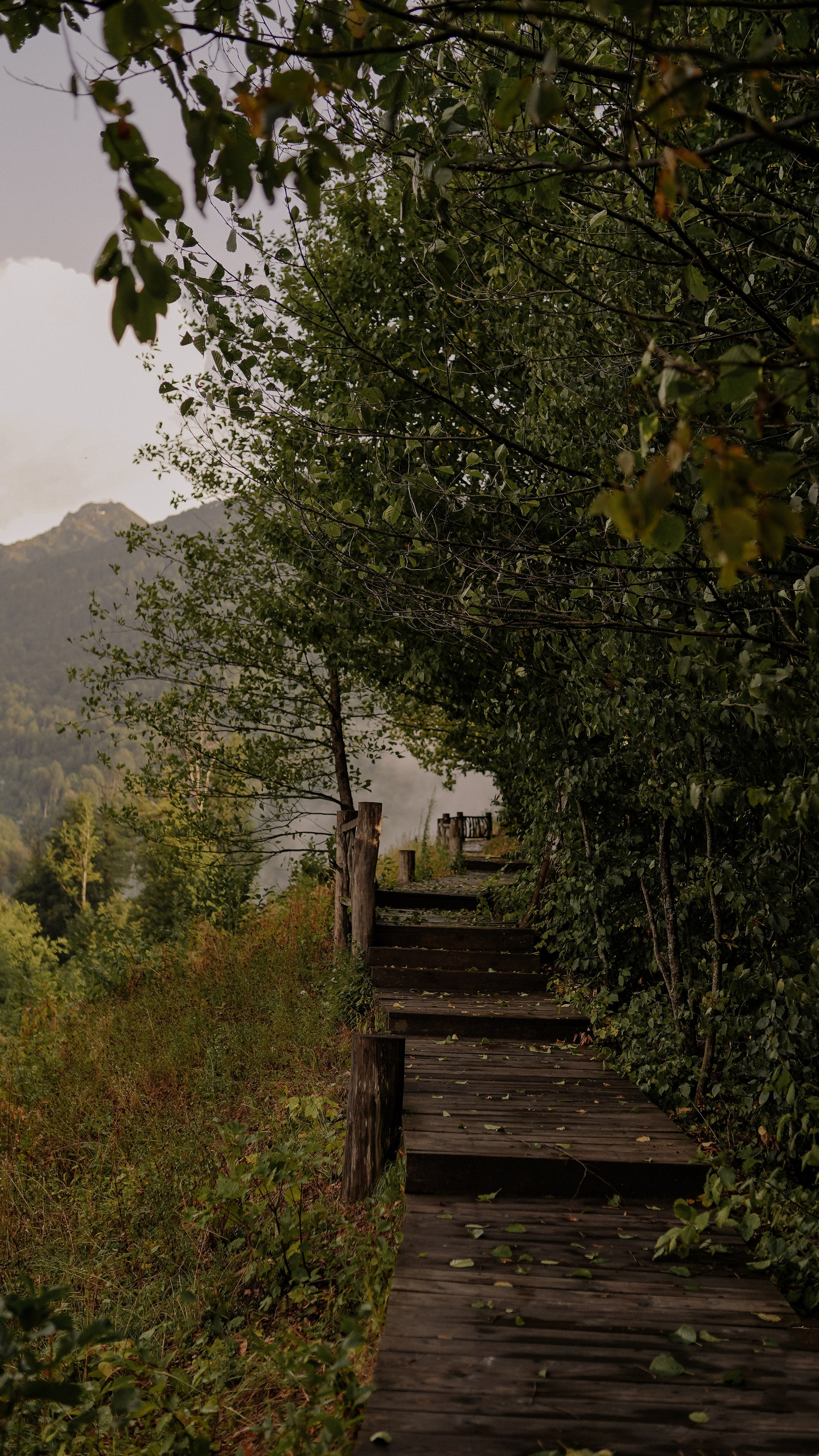 «Коготь». Милана Довгаль - семейный фотограф и видеограф  в Адлере и Сочи