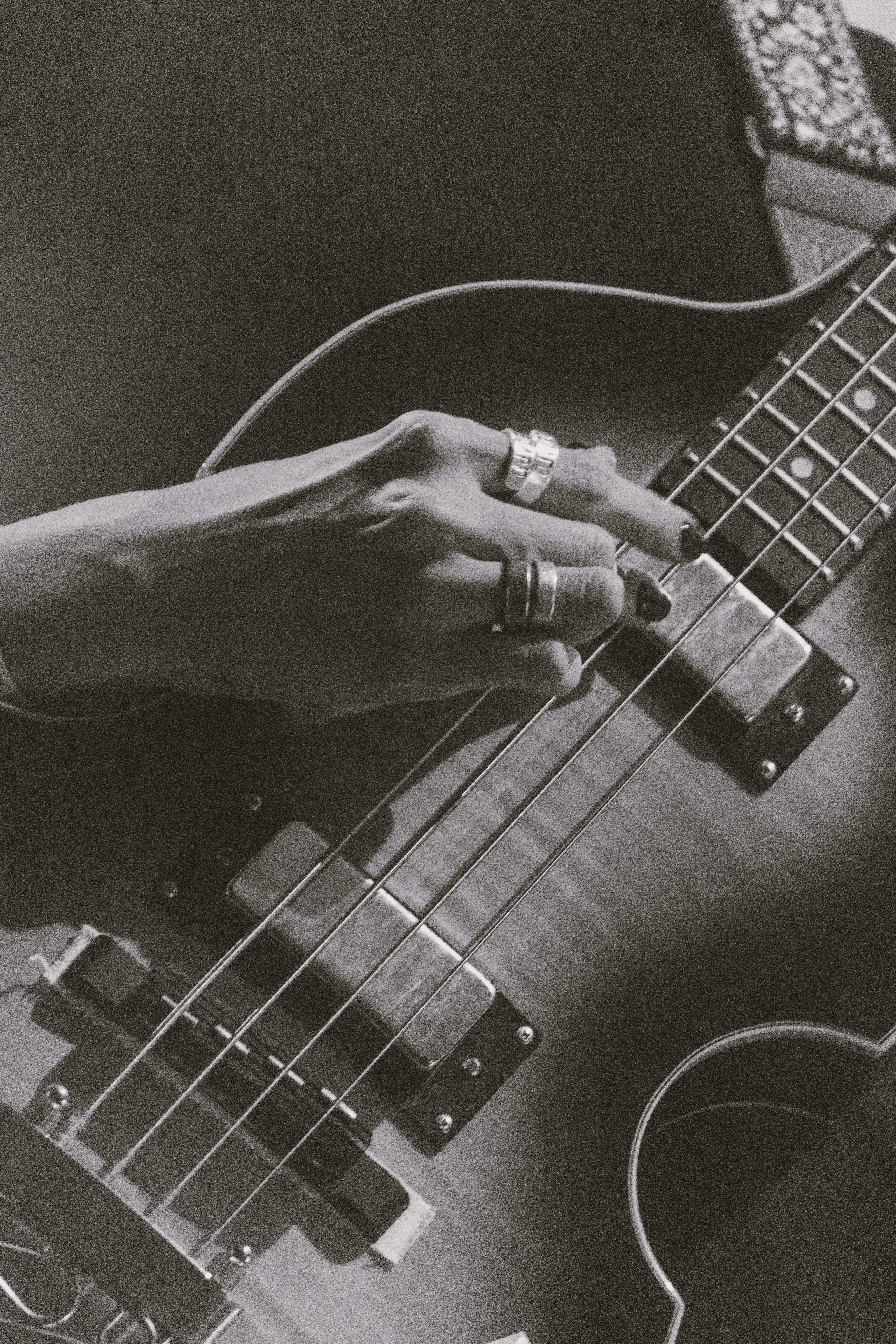 U2 (июнь 2024). Ph_lisa_muza