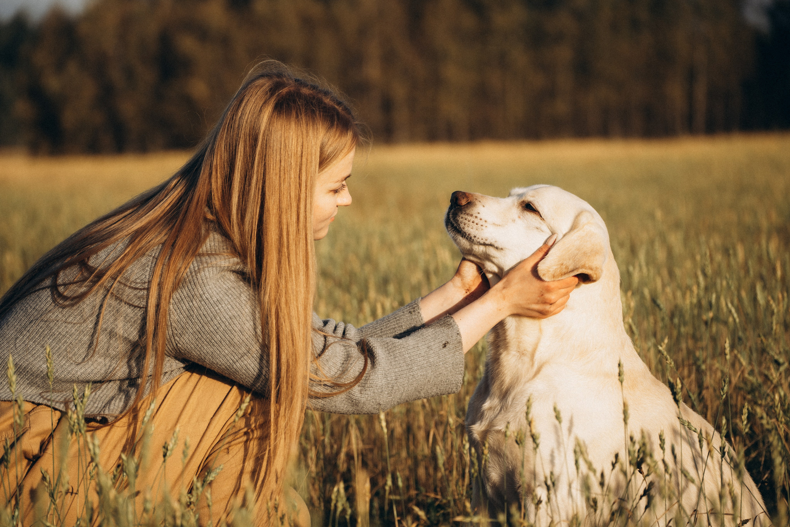 Дана и Арчи. Фотограф-анималист Анастасия Большакова