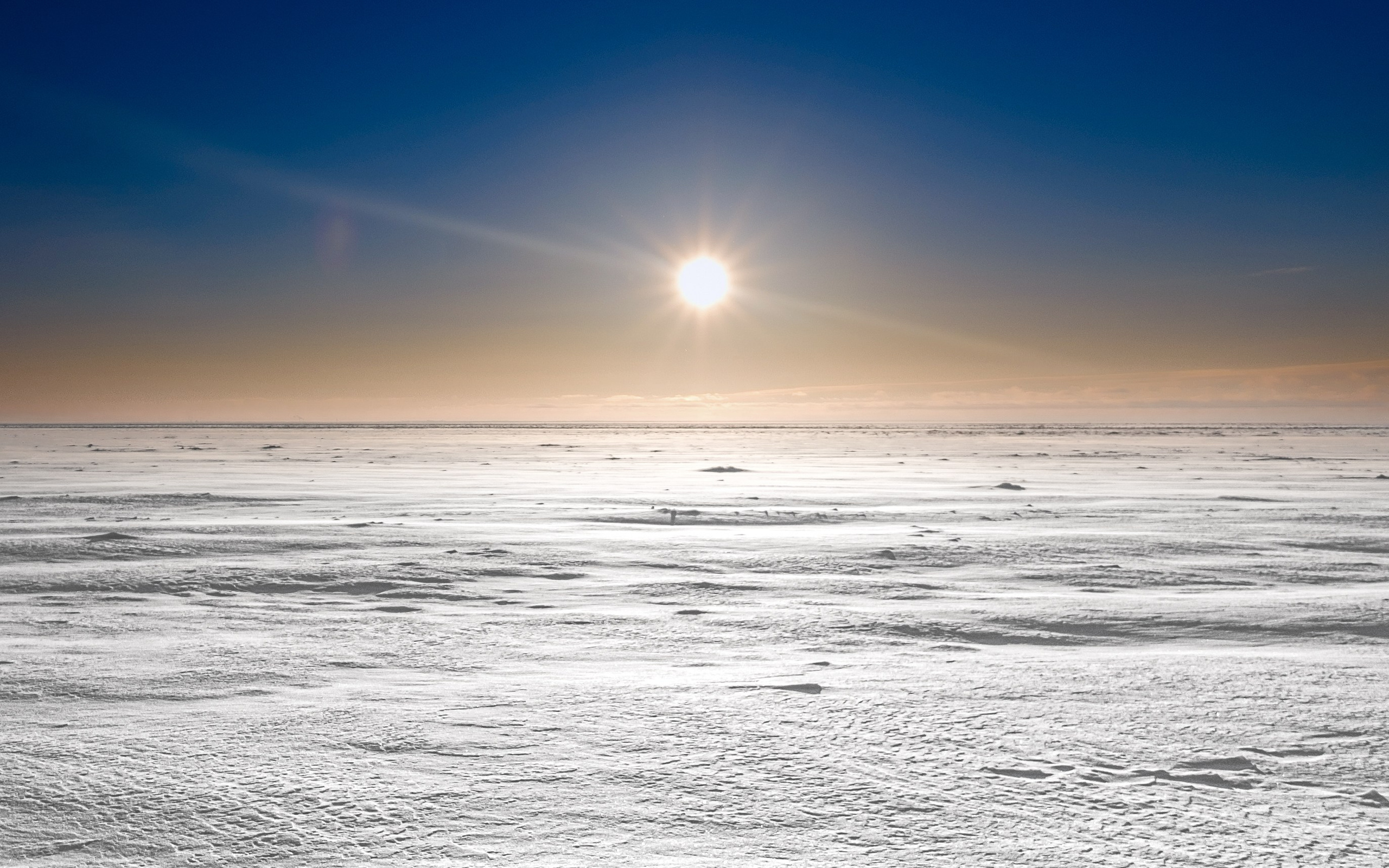 Пейзаж. Фотограф I Санкт-Петербург
