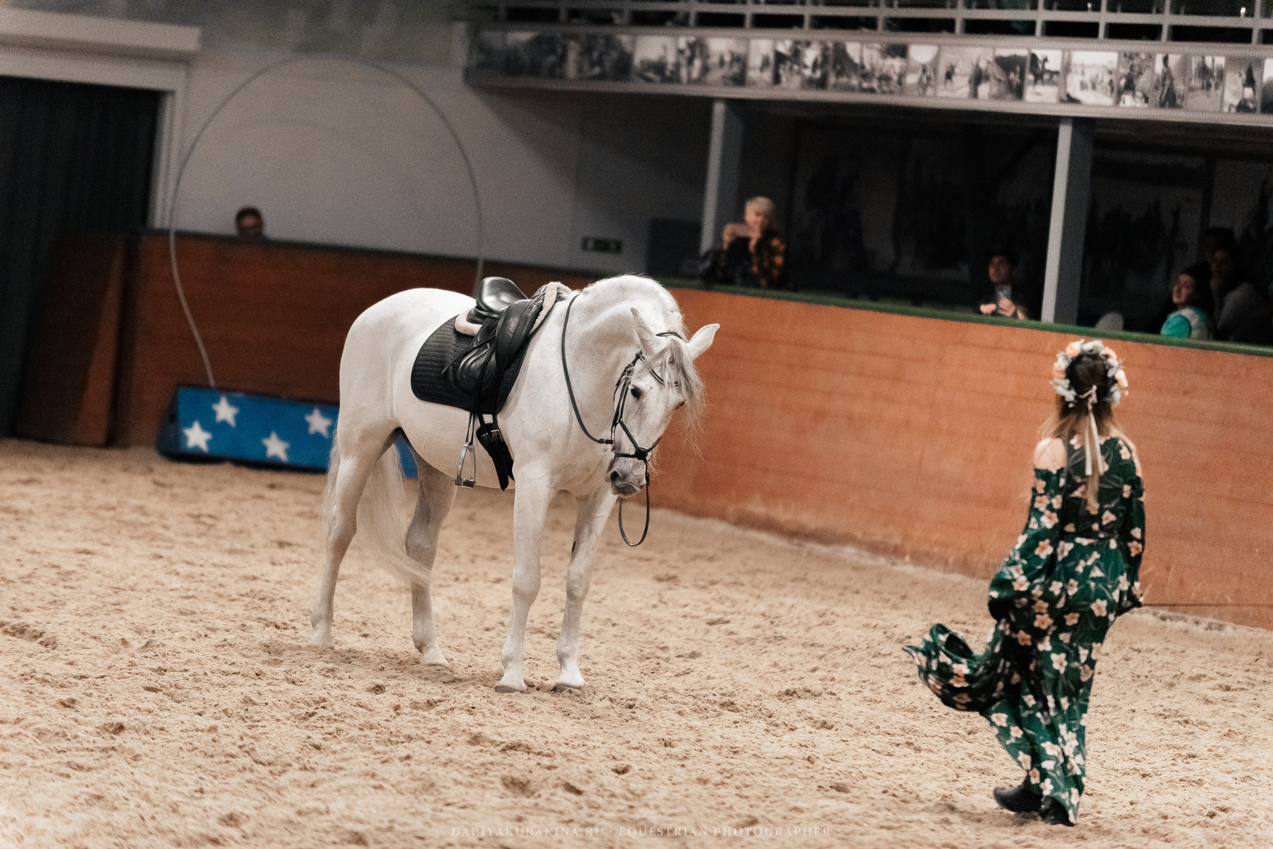 Конное представление «Дыхание Звёзд». Конный фотограф Куракина Дарья • Фотосессии с лошадьми