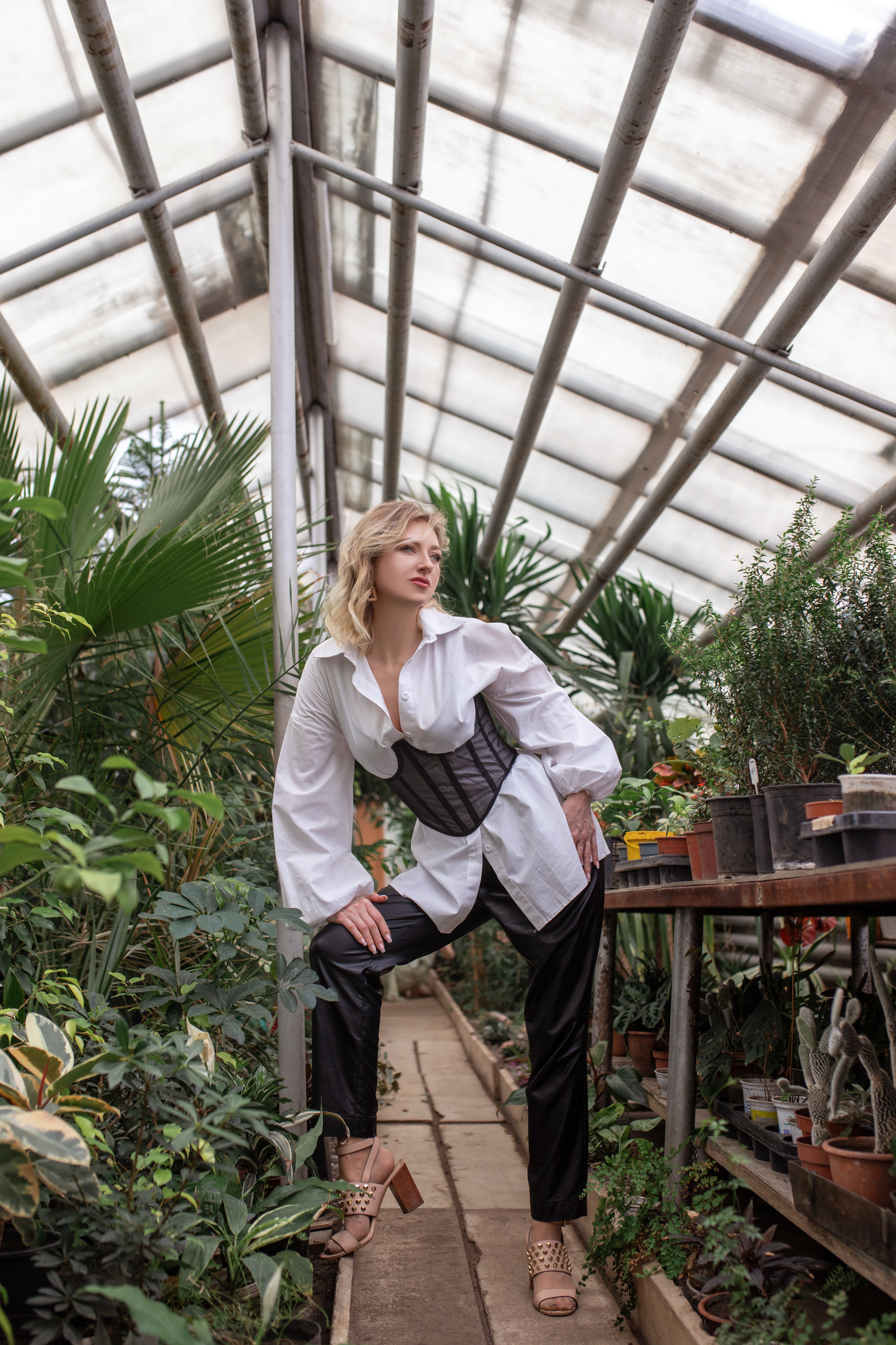 Оранжерея. Фотограф в Барнауле Юлия Садвокасова