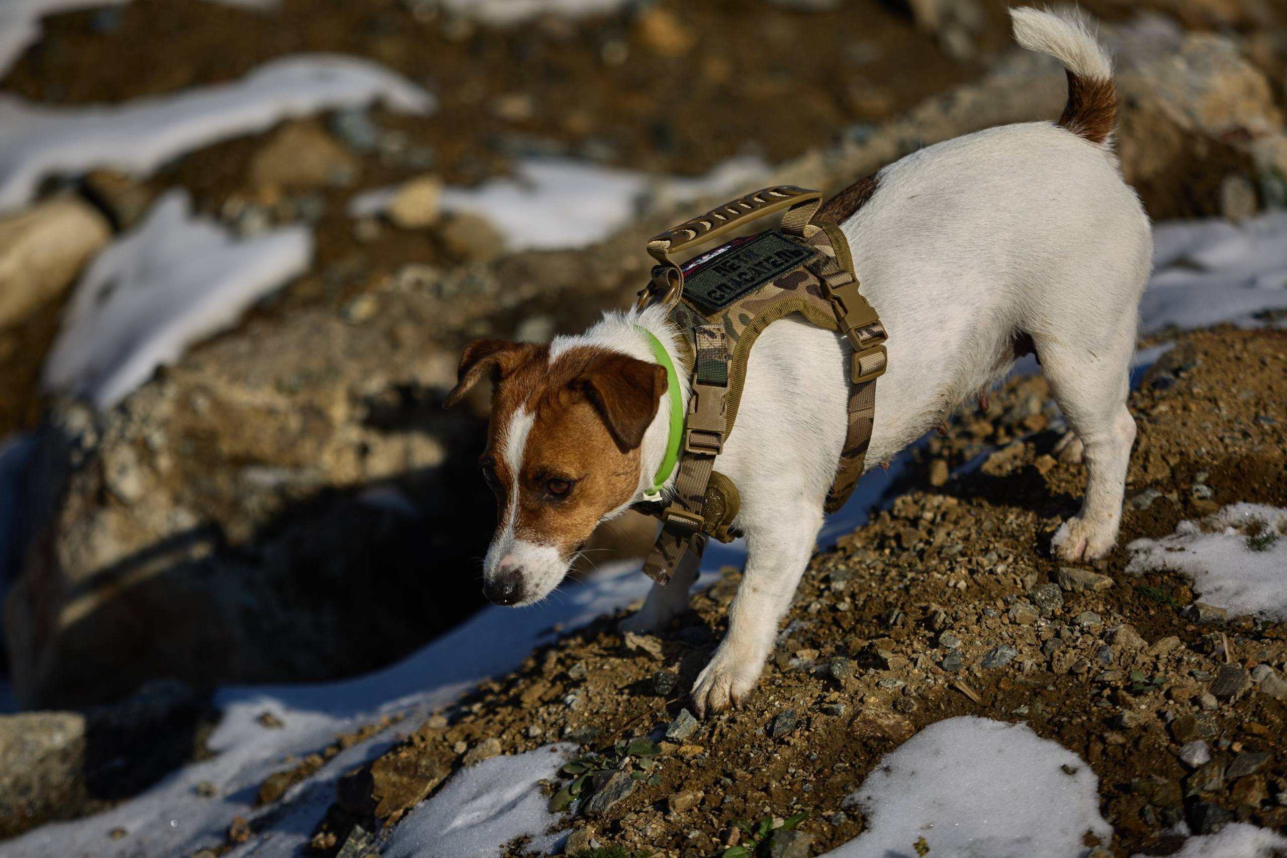 Лети Спасатель. Buyvolenko Andrey