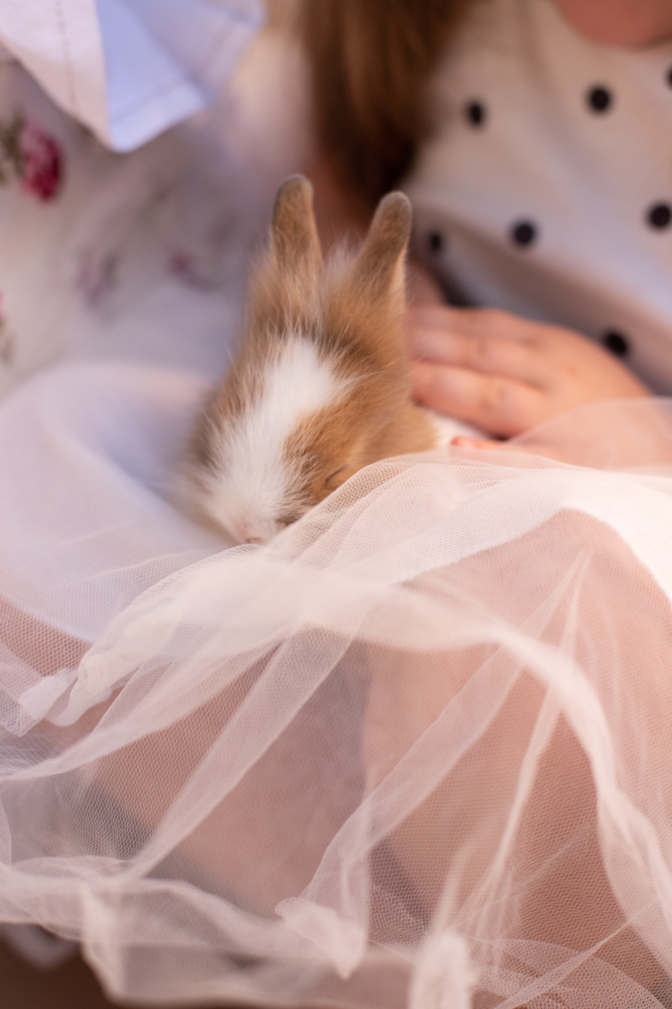 Алиса в стране чудес. Лучший фотограф Краснодара (по версии моей мамы)