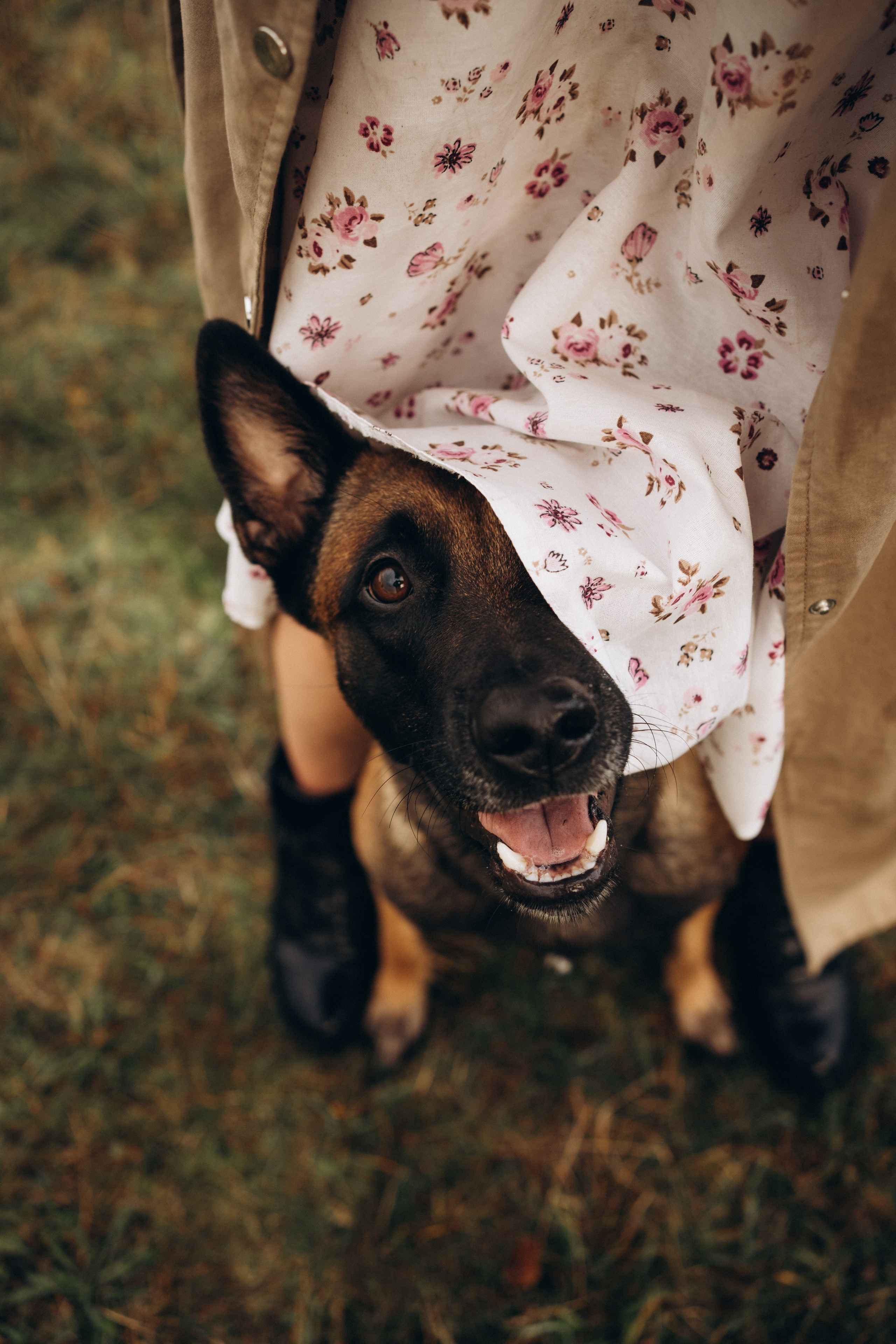 Вика и Хельс. Фотограф-анималист Анастасия Большакова