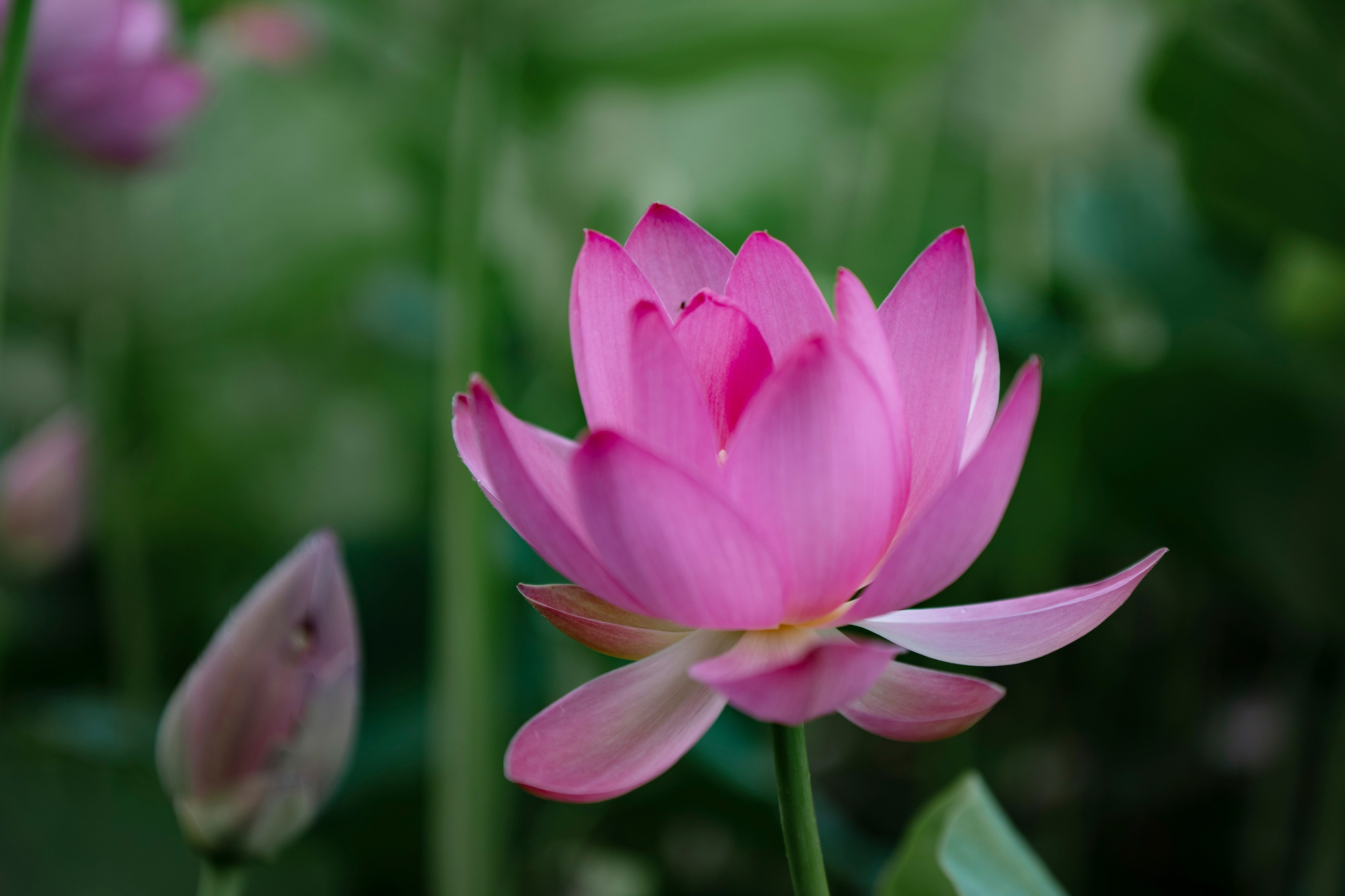 Природа Хабаровского края. Команда фотографов Кристины Ивановой