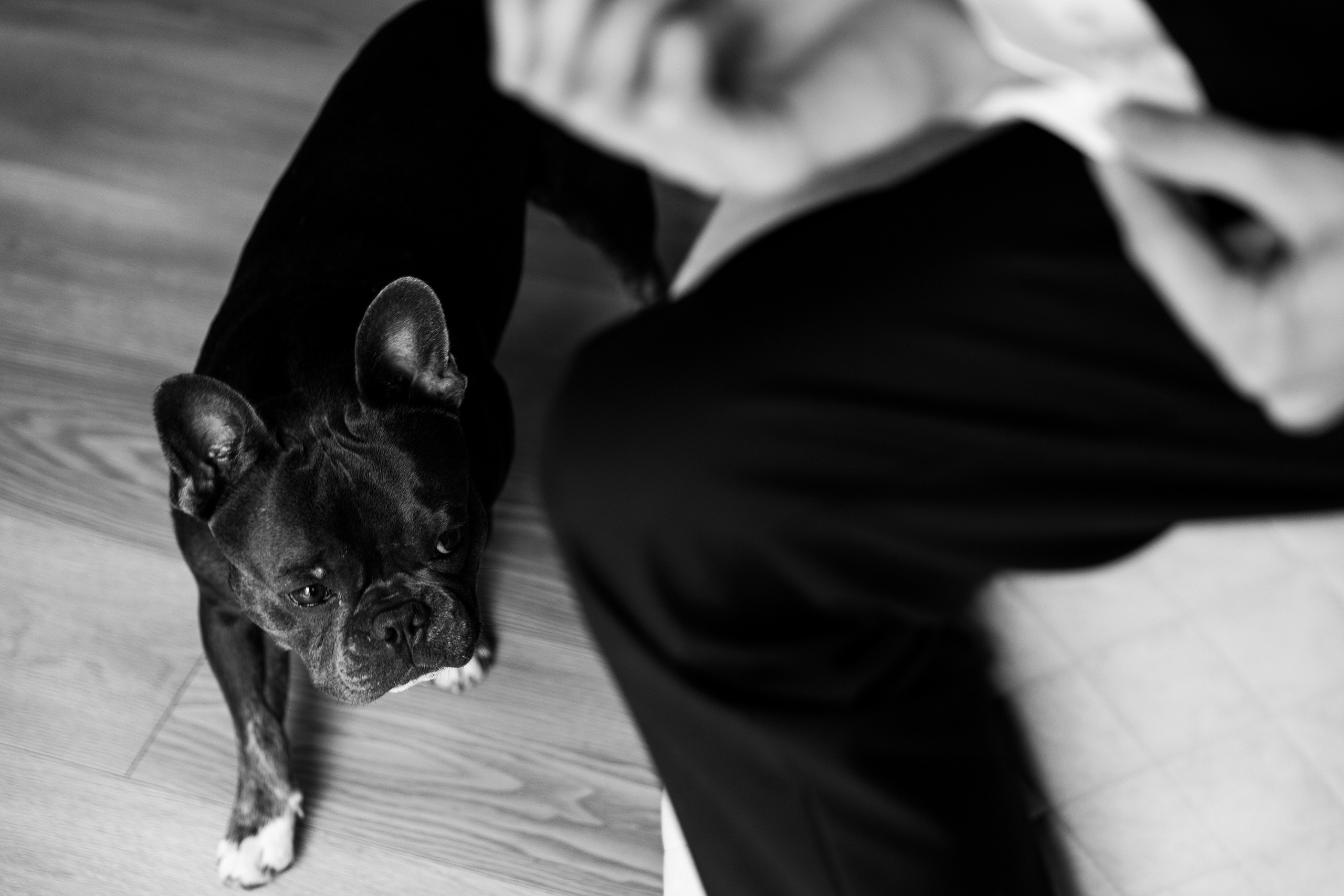 Кирилл & Евгения. Фотограф в Краснодаре Левик Казарян