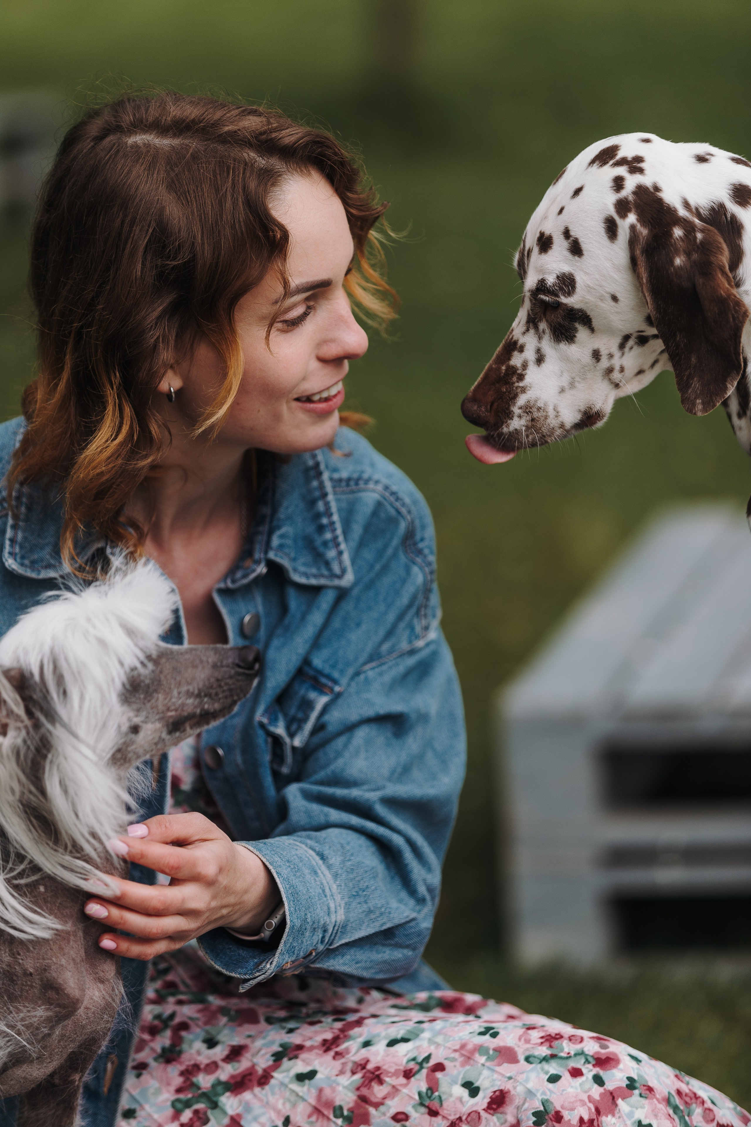 Лили, Уся, Вика и их семья. Фотограф анималист Кристина Карпова, Москва