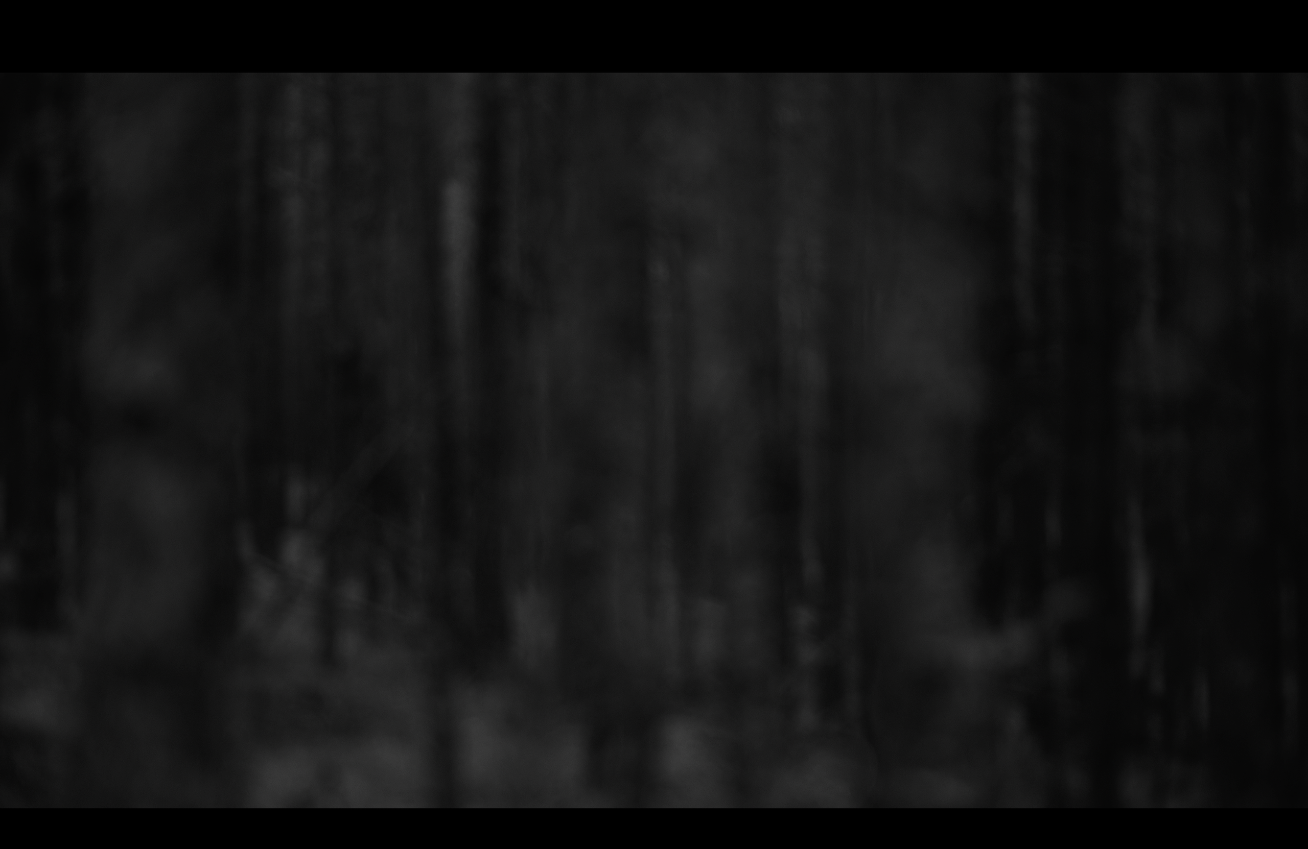 Видеоинсталляция Место Пробела. Художественная группа «Нежные Бабы»