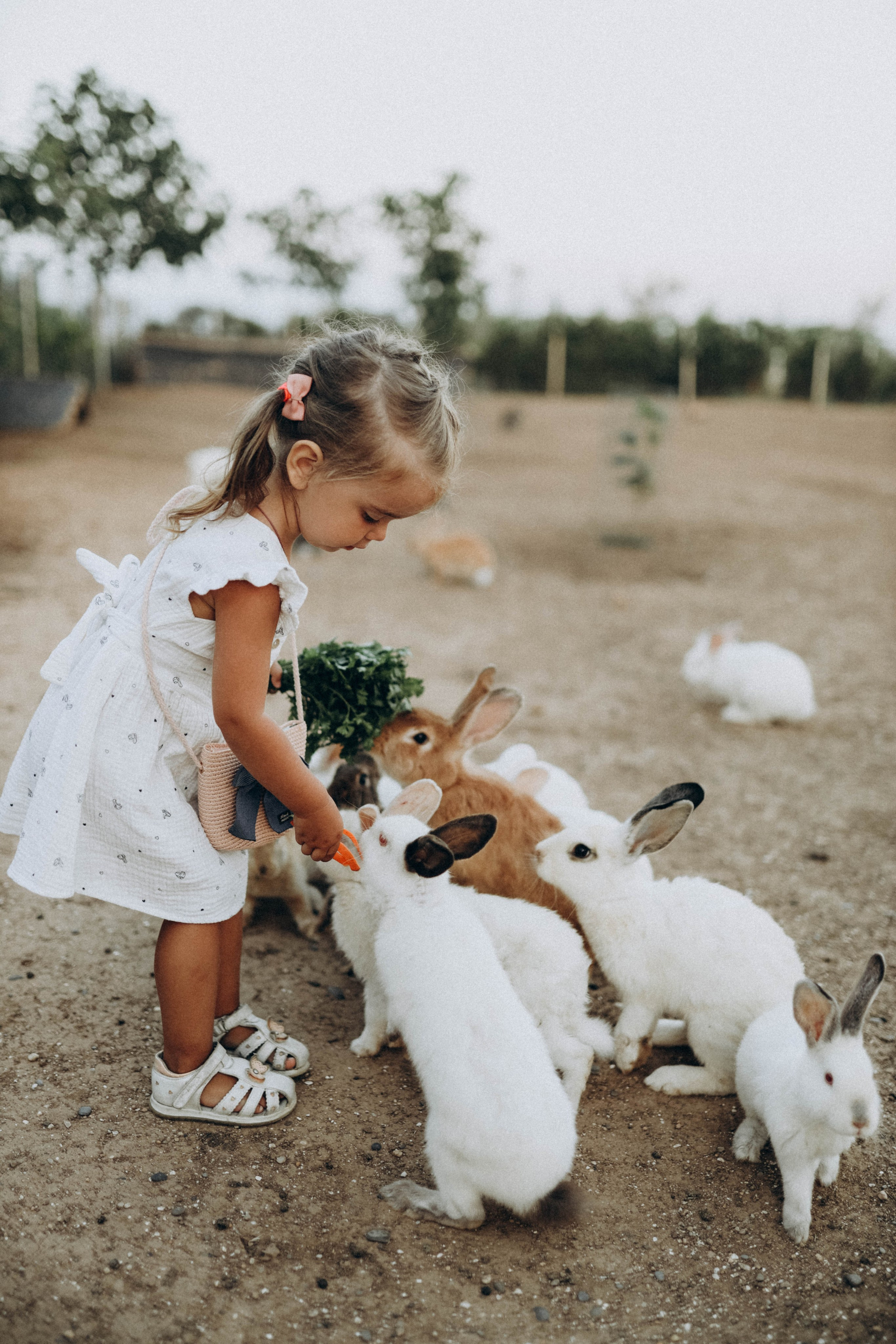 Кроликпарк 🐇. Индивидуальные и семейные съемки в Евпатории, Крыму Немировченко Анна