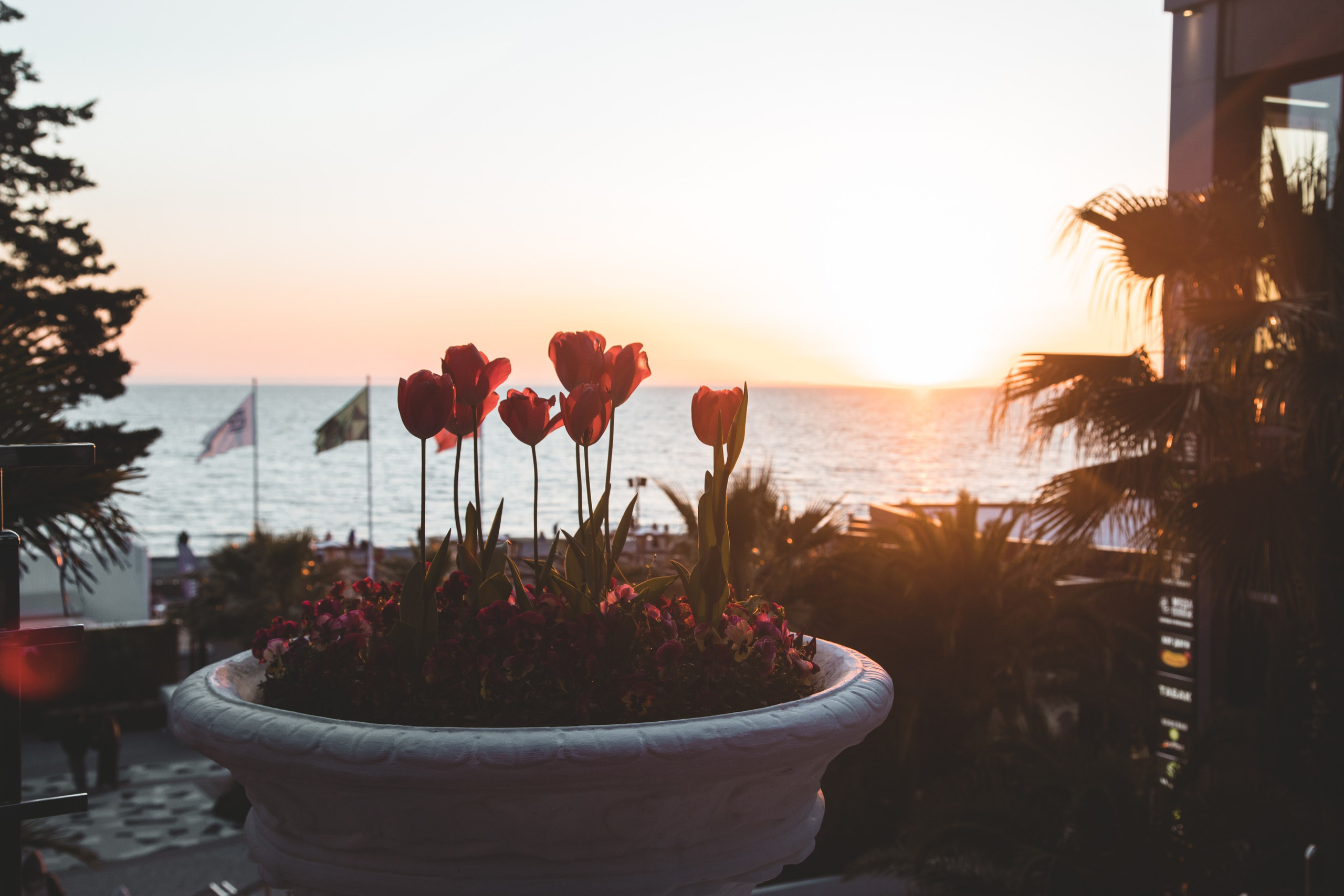 Света и Дима на Ривьере (Сочи. Апрель 2025 г.). Фотограф Сочи, Адлер, Красная Поляна — Вероника Радченко